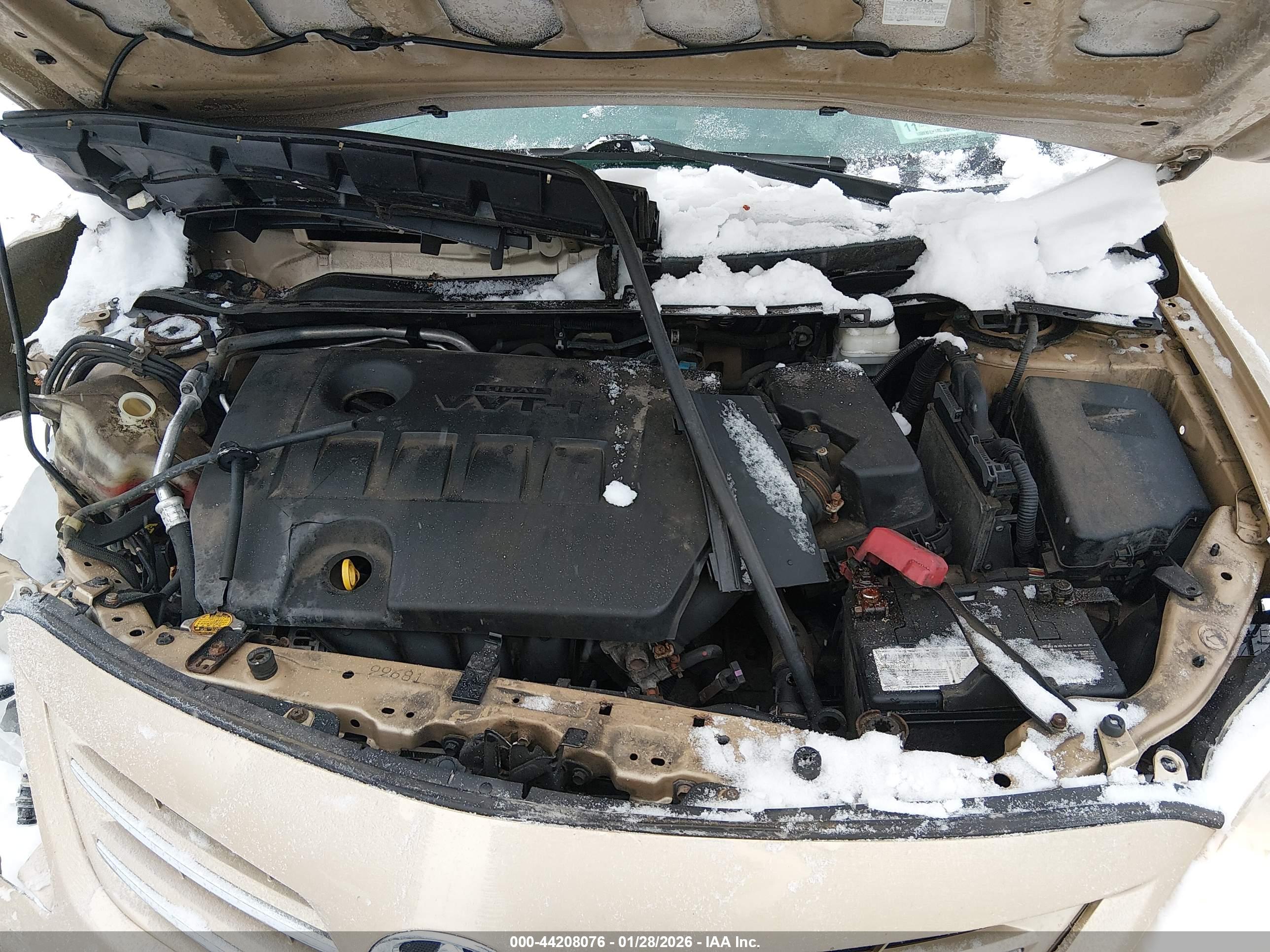 TOYOTA COROLLA image 10