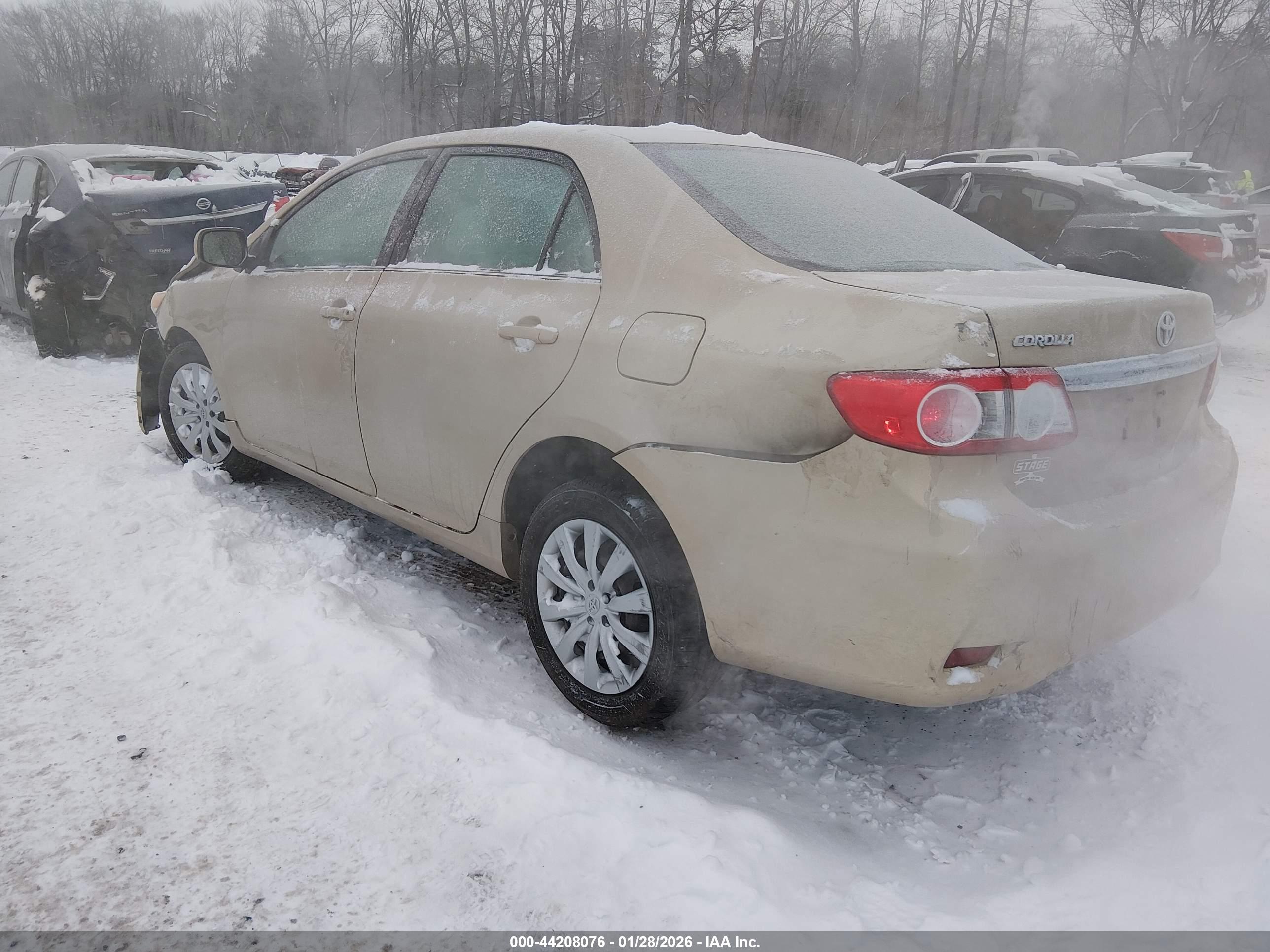TOYOTA COROLLA image 3