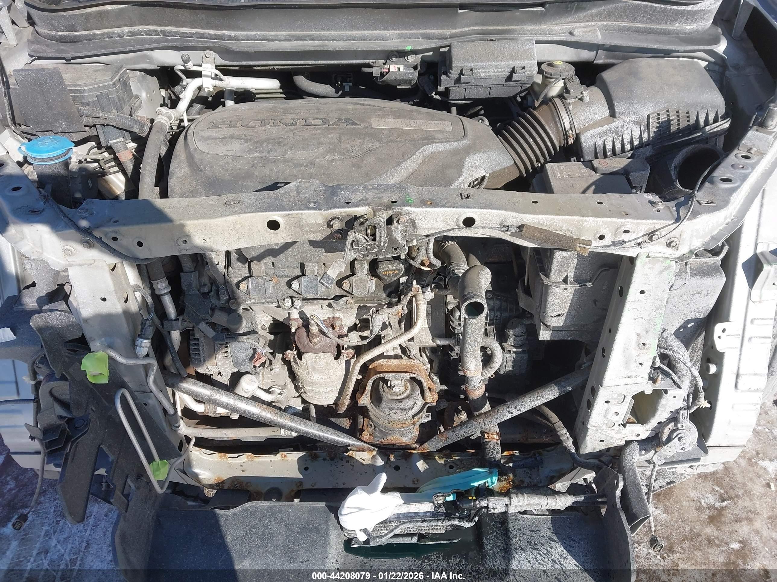 HONDA PASSPORT image 10