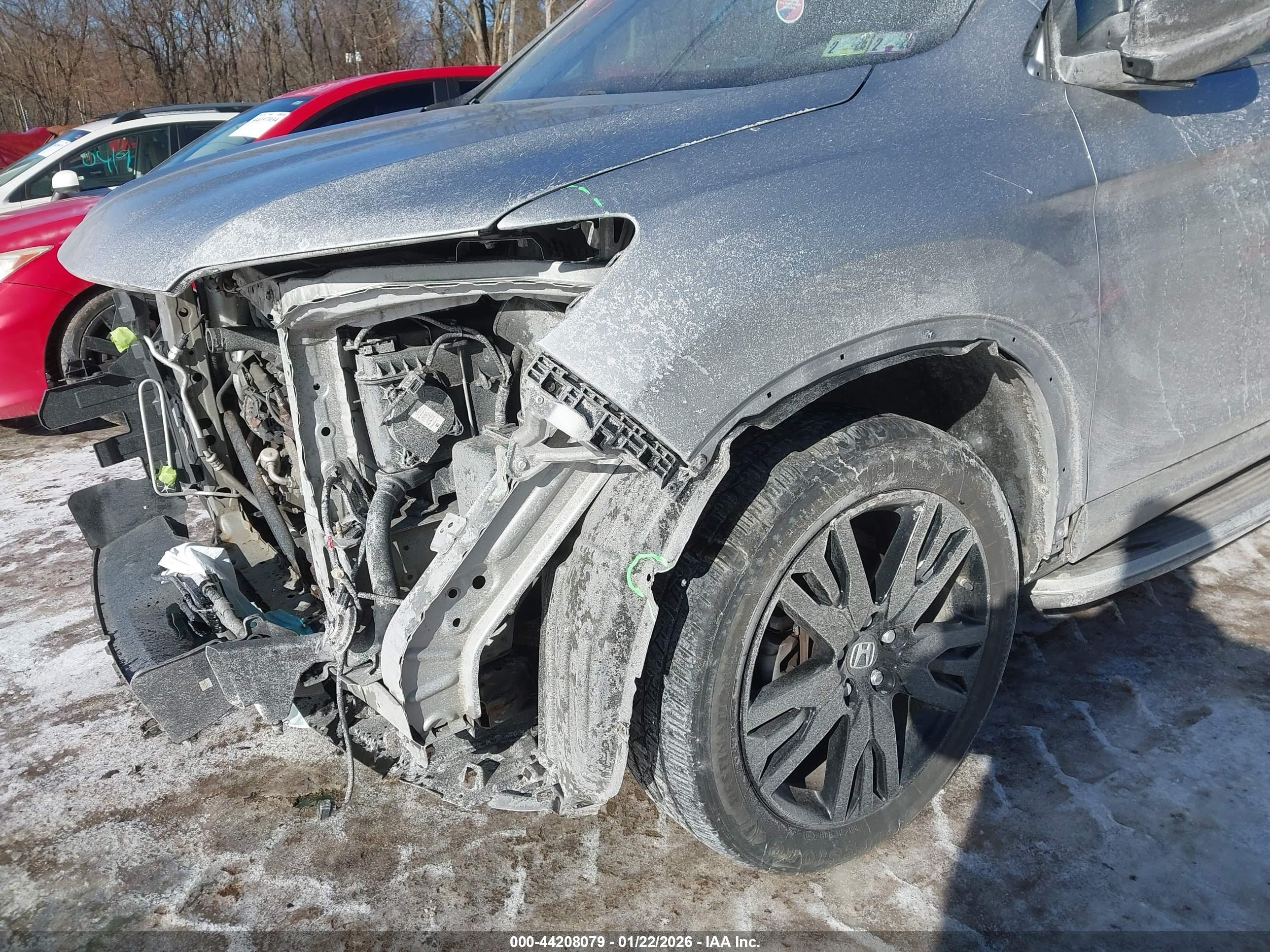 HONDA PASSPORT image 6