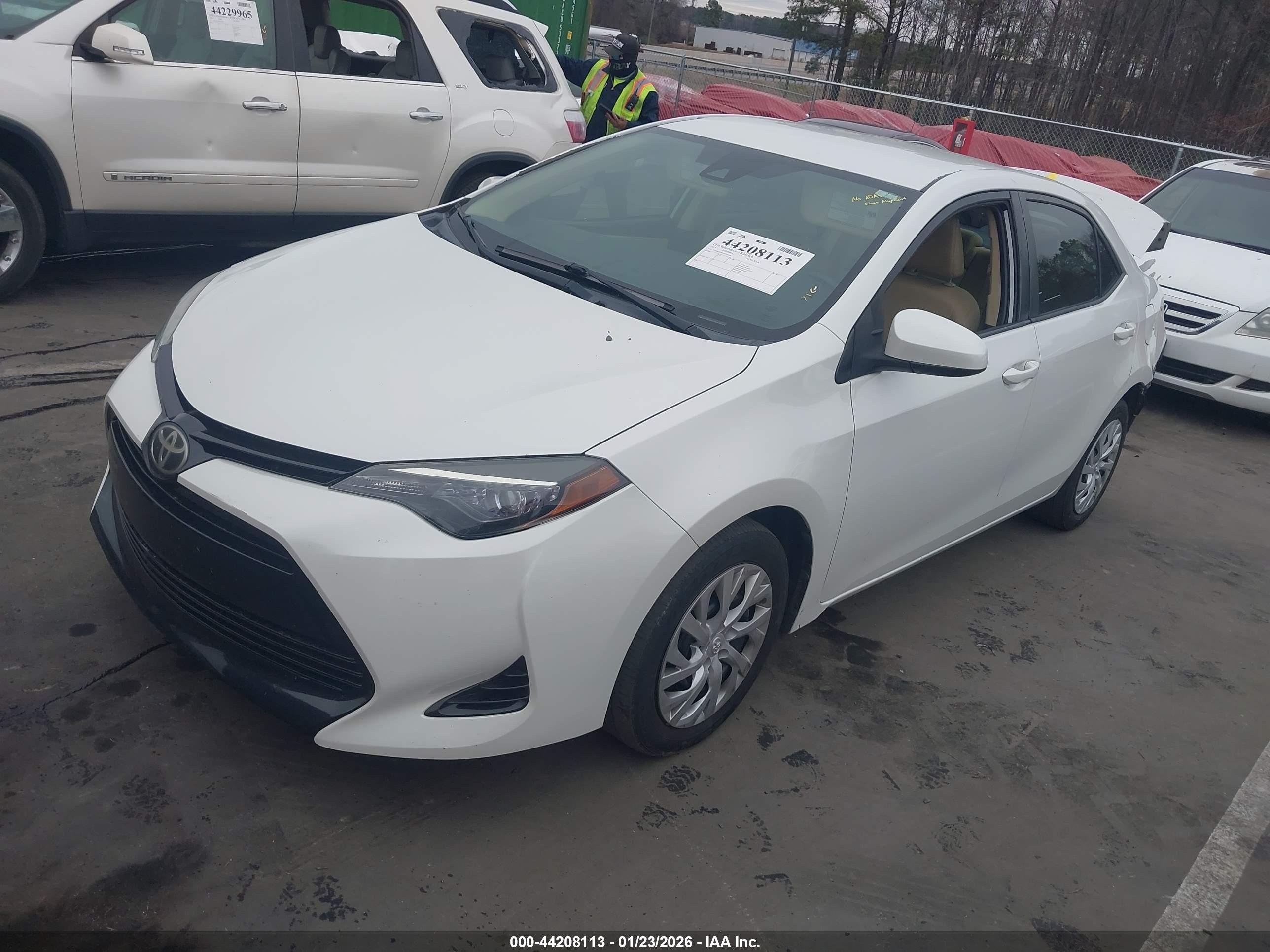TOYOTA COROLLA image 2
