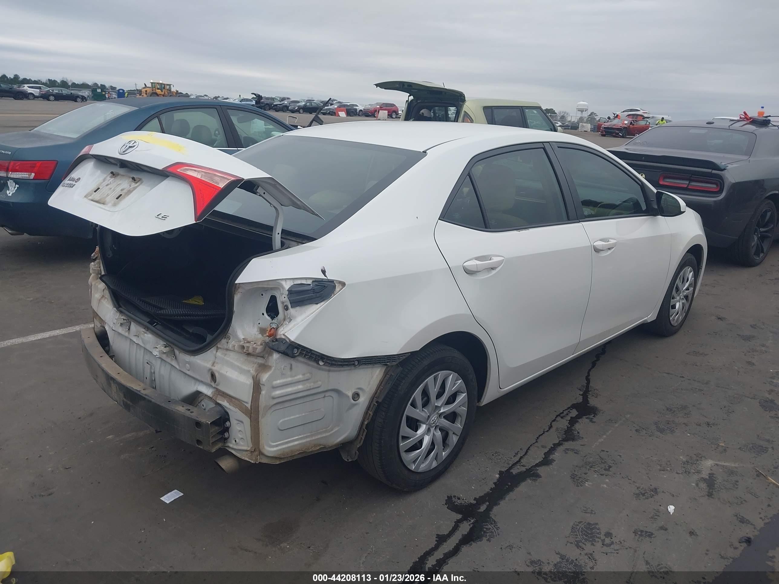TOYOTA COROLLA image 4