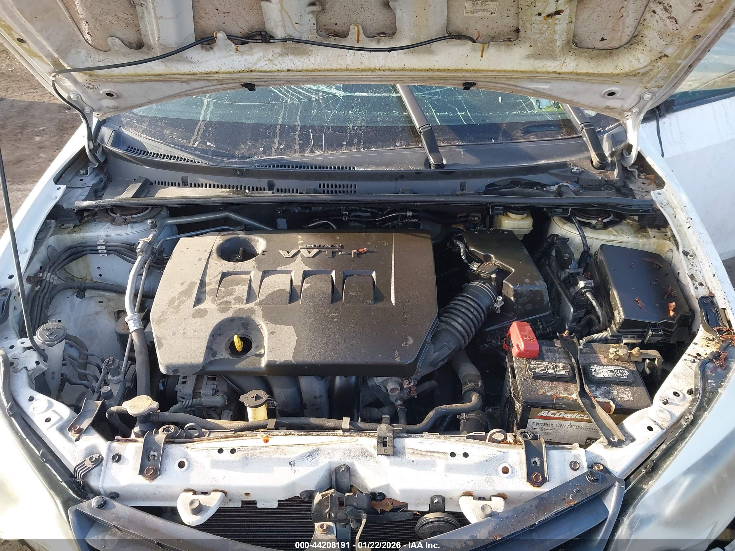 TOYOTA COROLLA image 10
