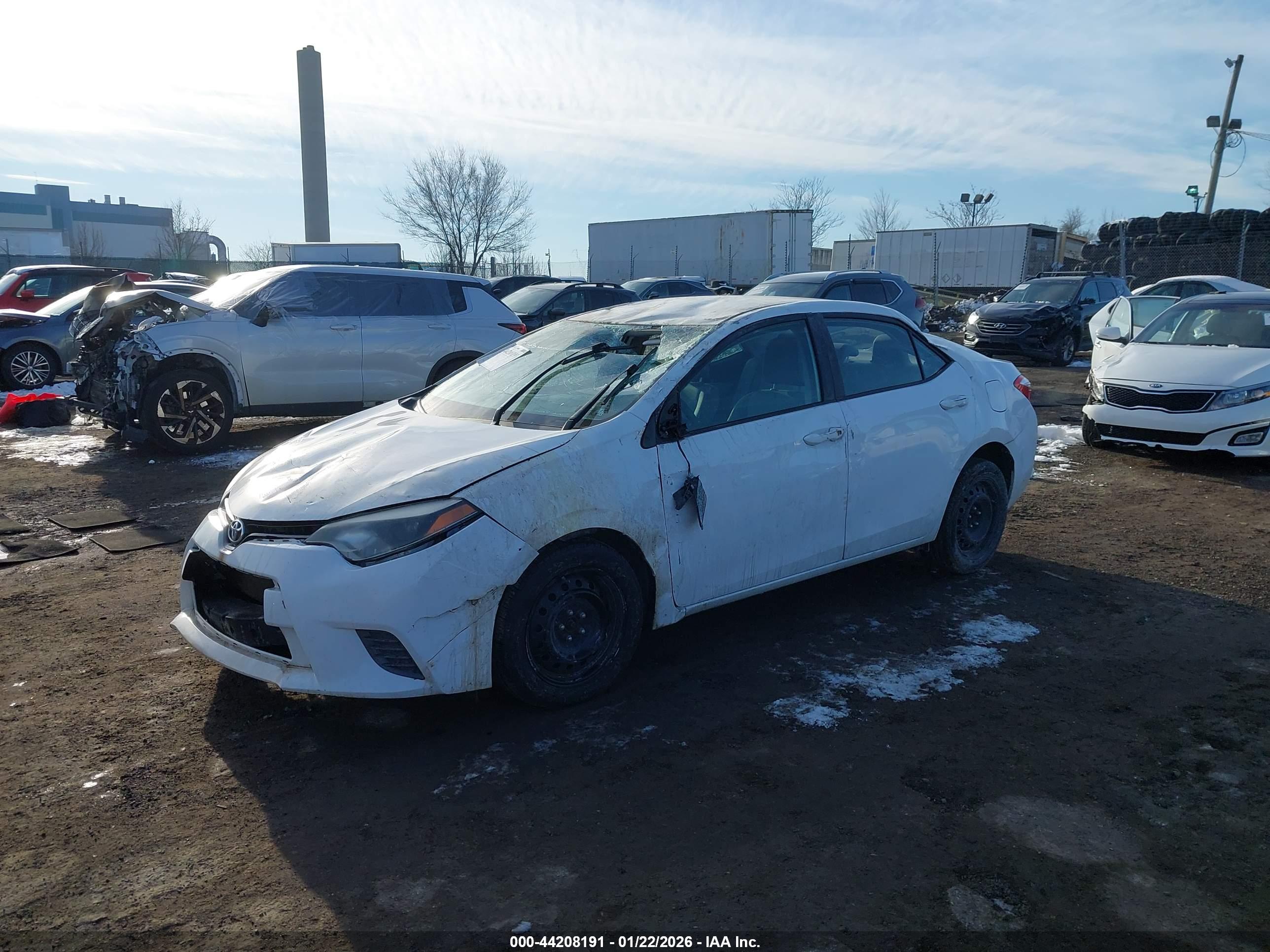 TOYOTA COROLLA image 2