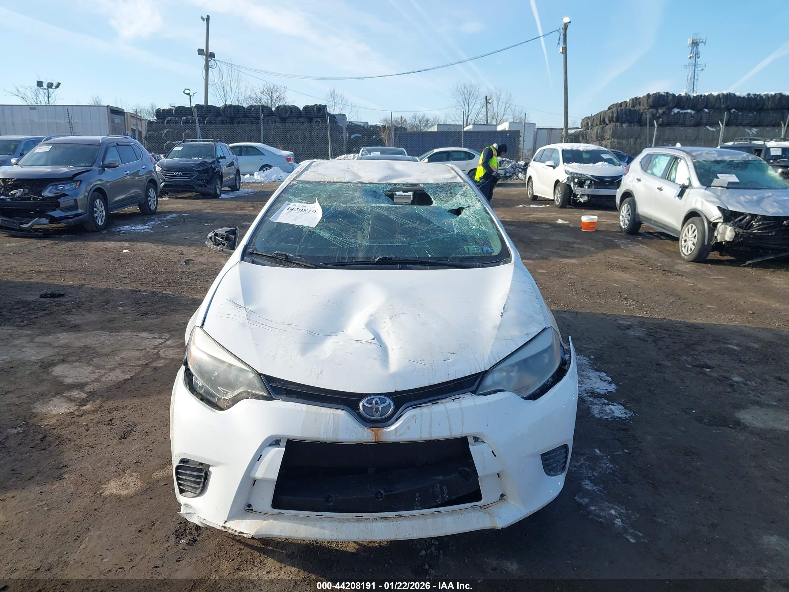 TOYOTA COROLLA image 6