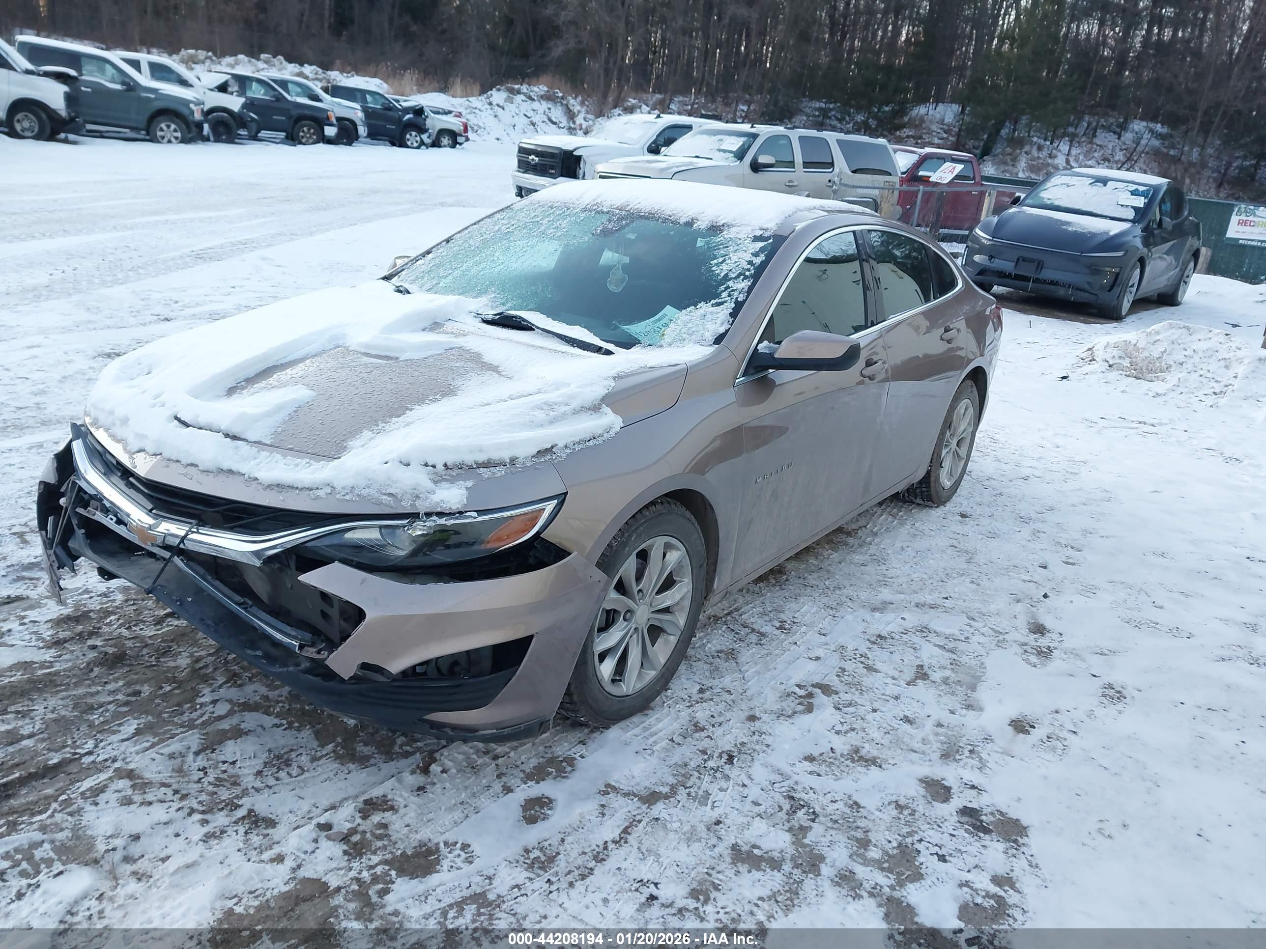 CHEVROLET MALIBU image 2