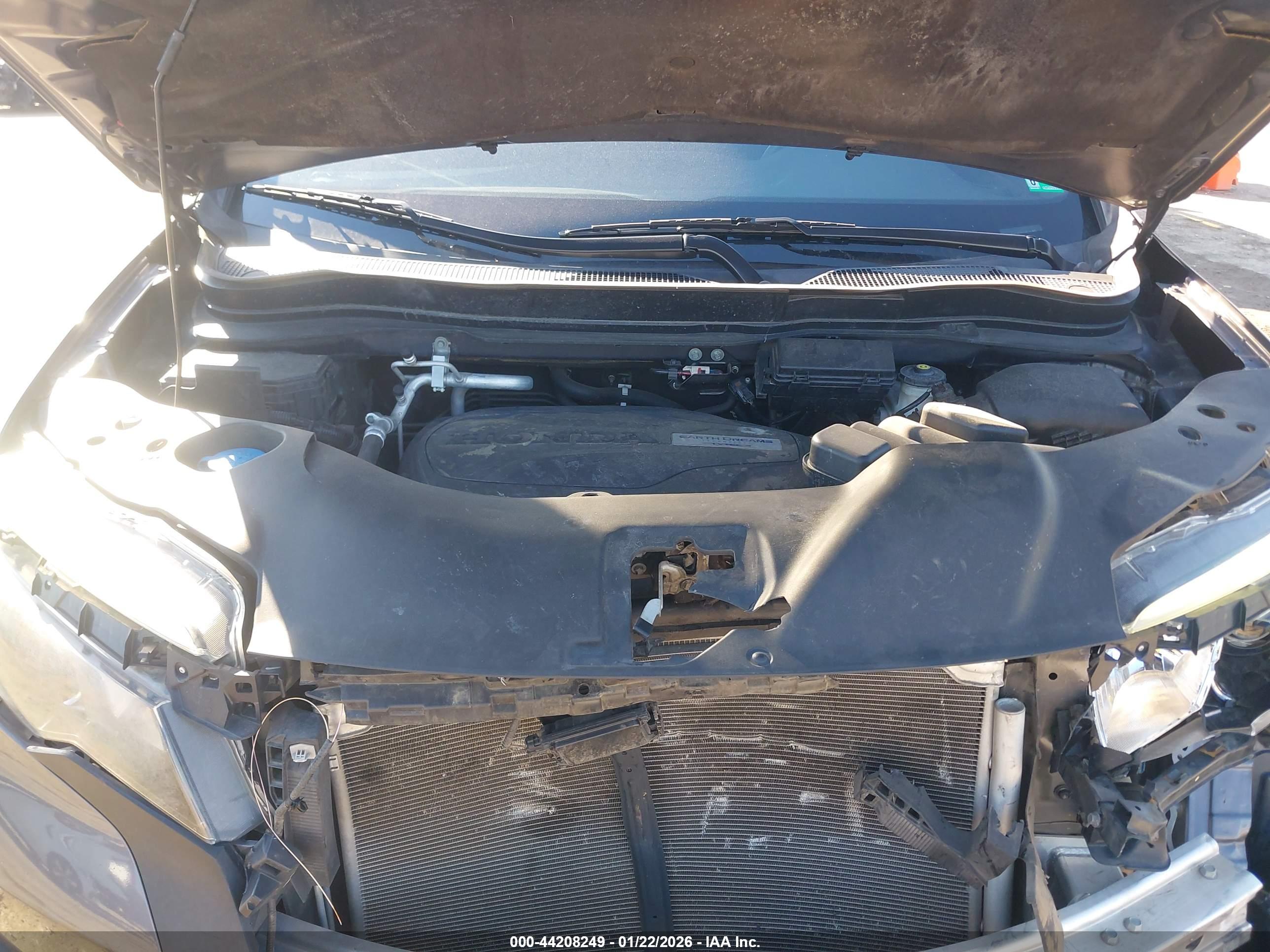 HONDA PASSPORT image 10