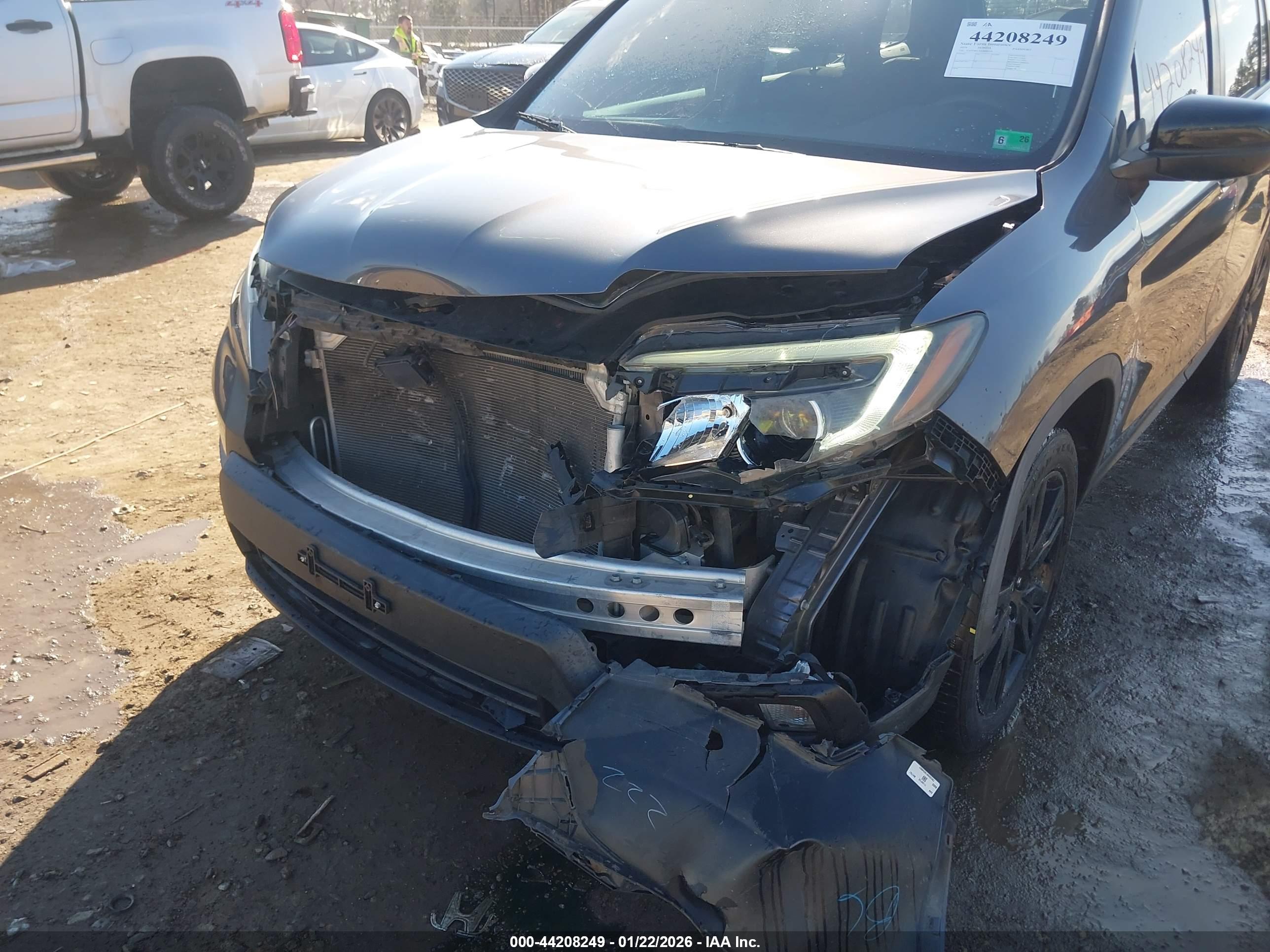 HONDA PASSPORT image 6