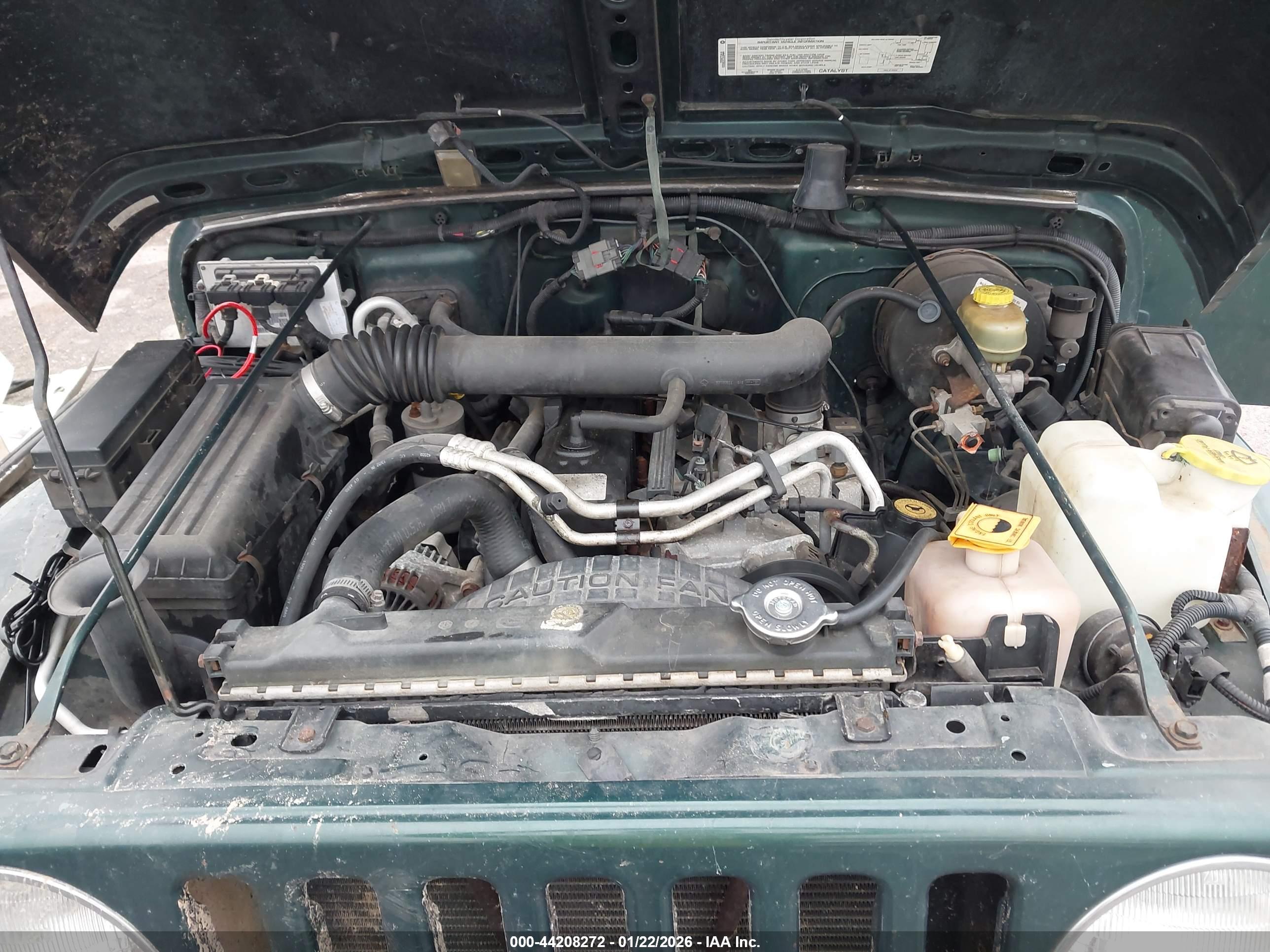 JEEP WRANGLER image 10