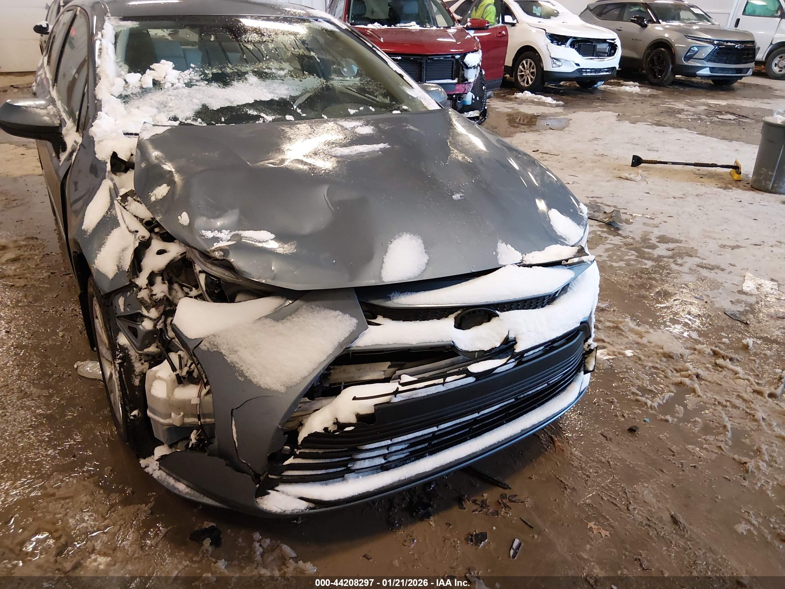 TOYOTA COROLLA image 6