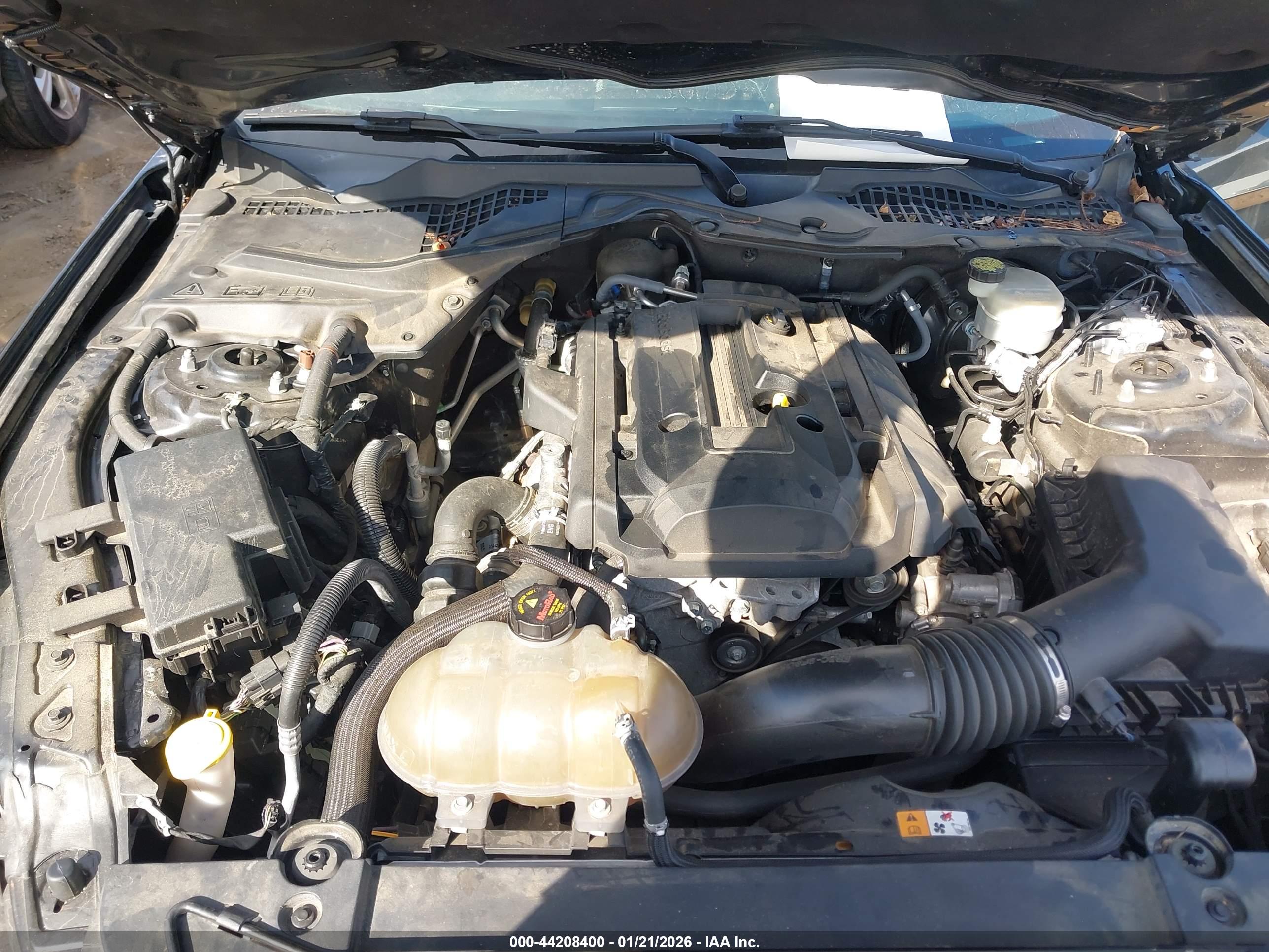 FORD MUSTANG image 10