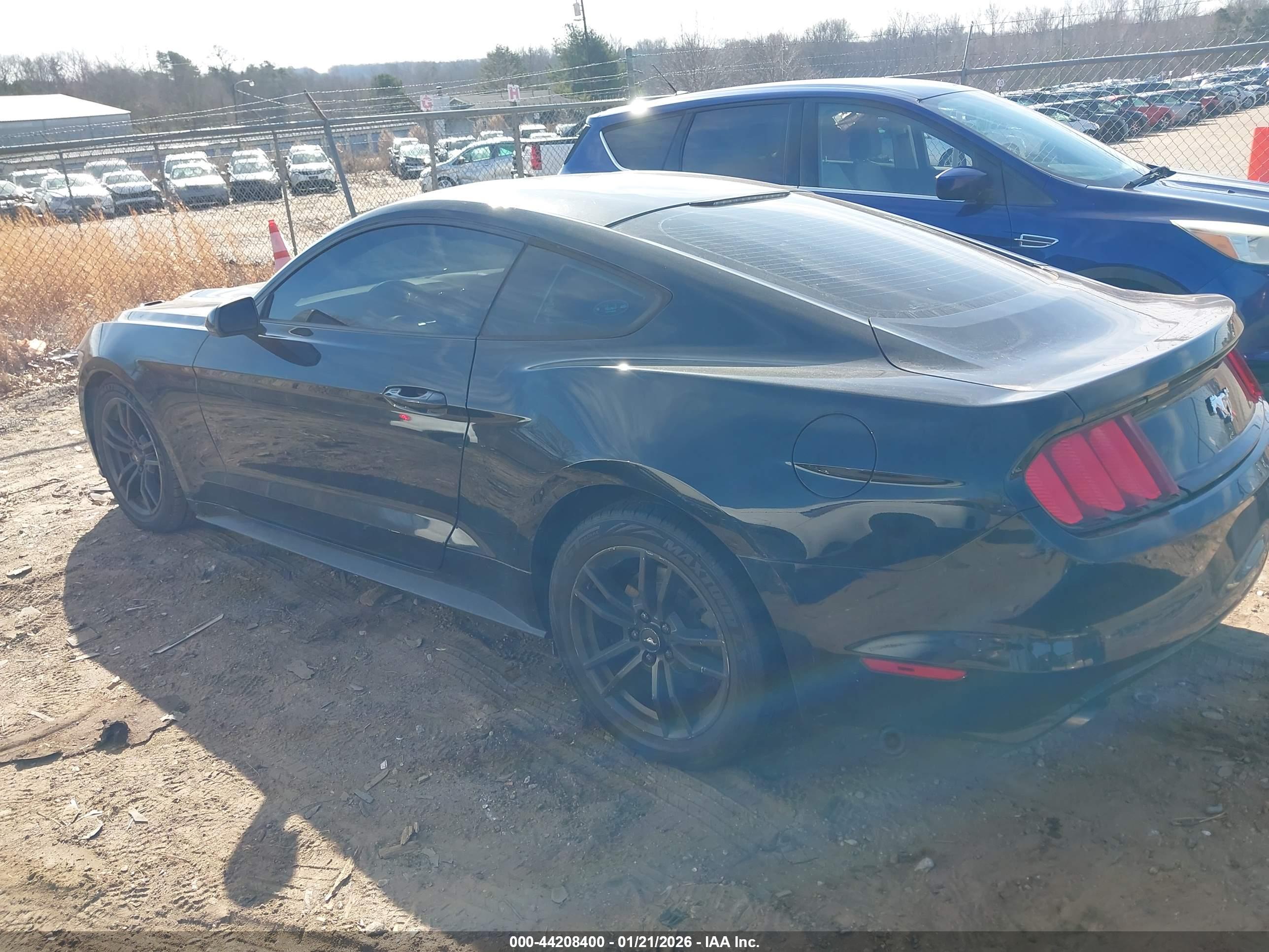 FORD MUSTANG image 3