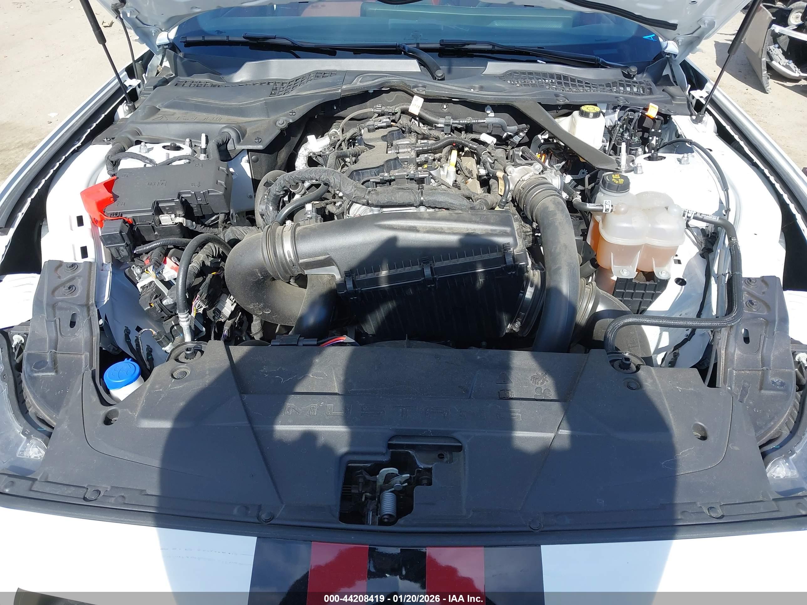 FORD MUSTANG image 10