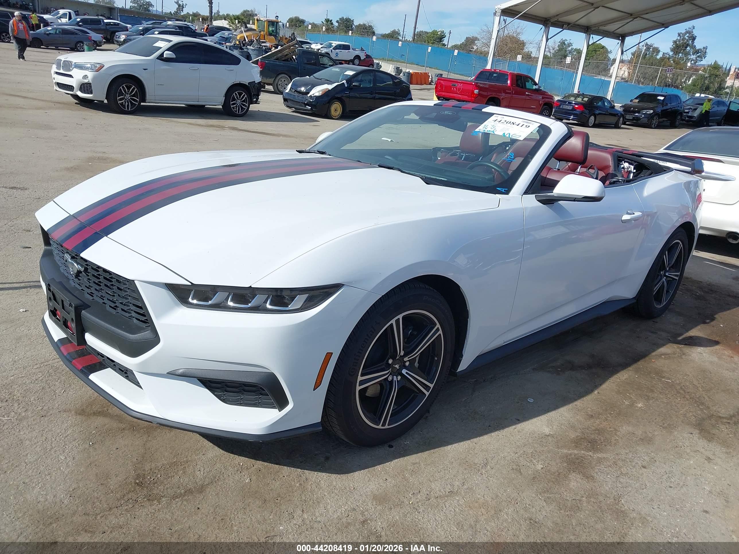 FORD MUSTANG image 2