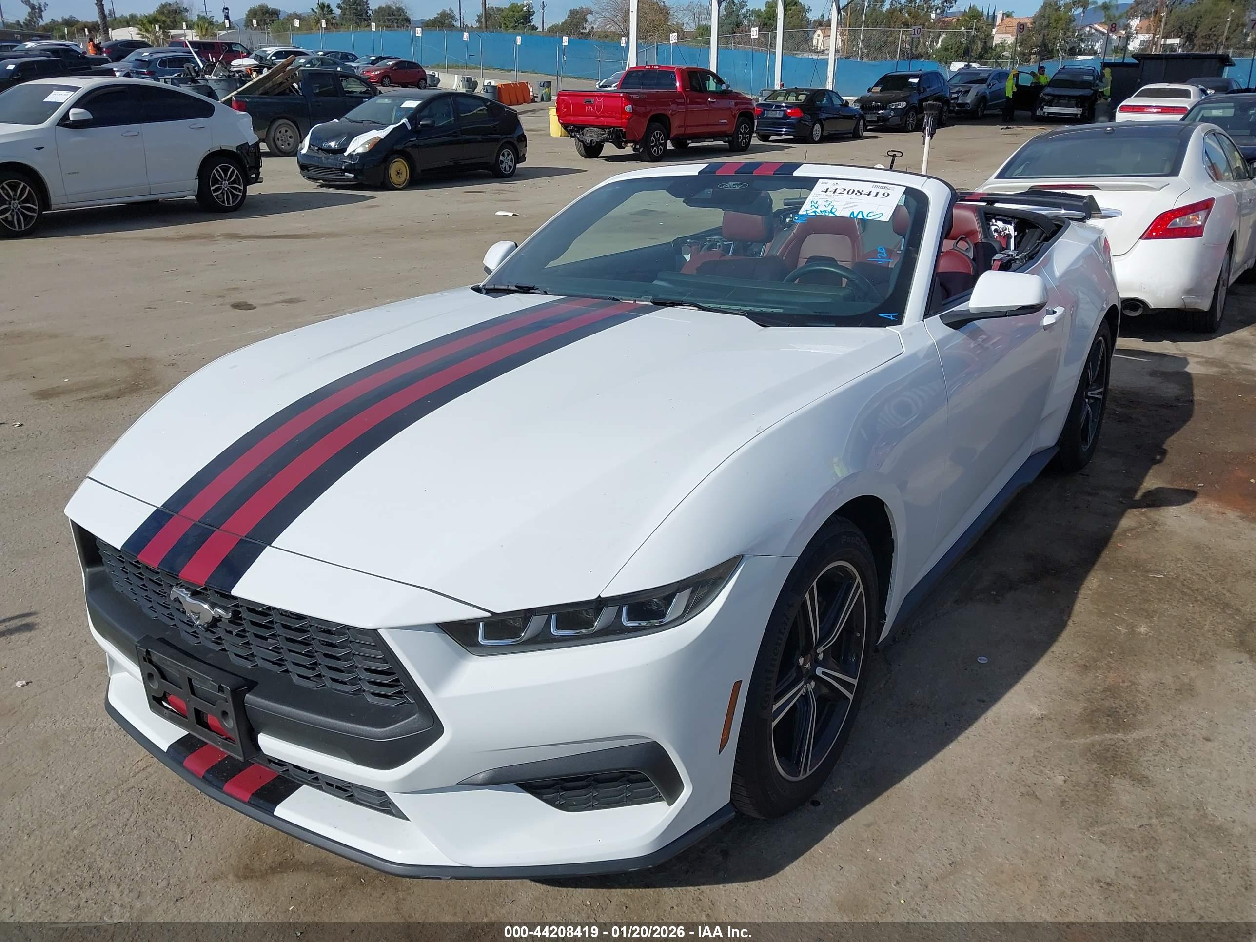 FORD MUSTANG image 6