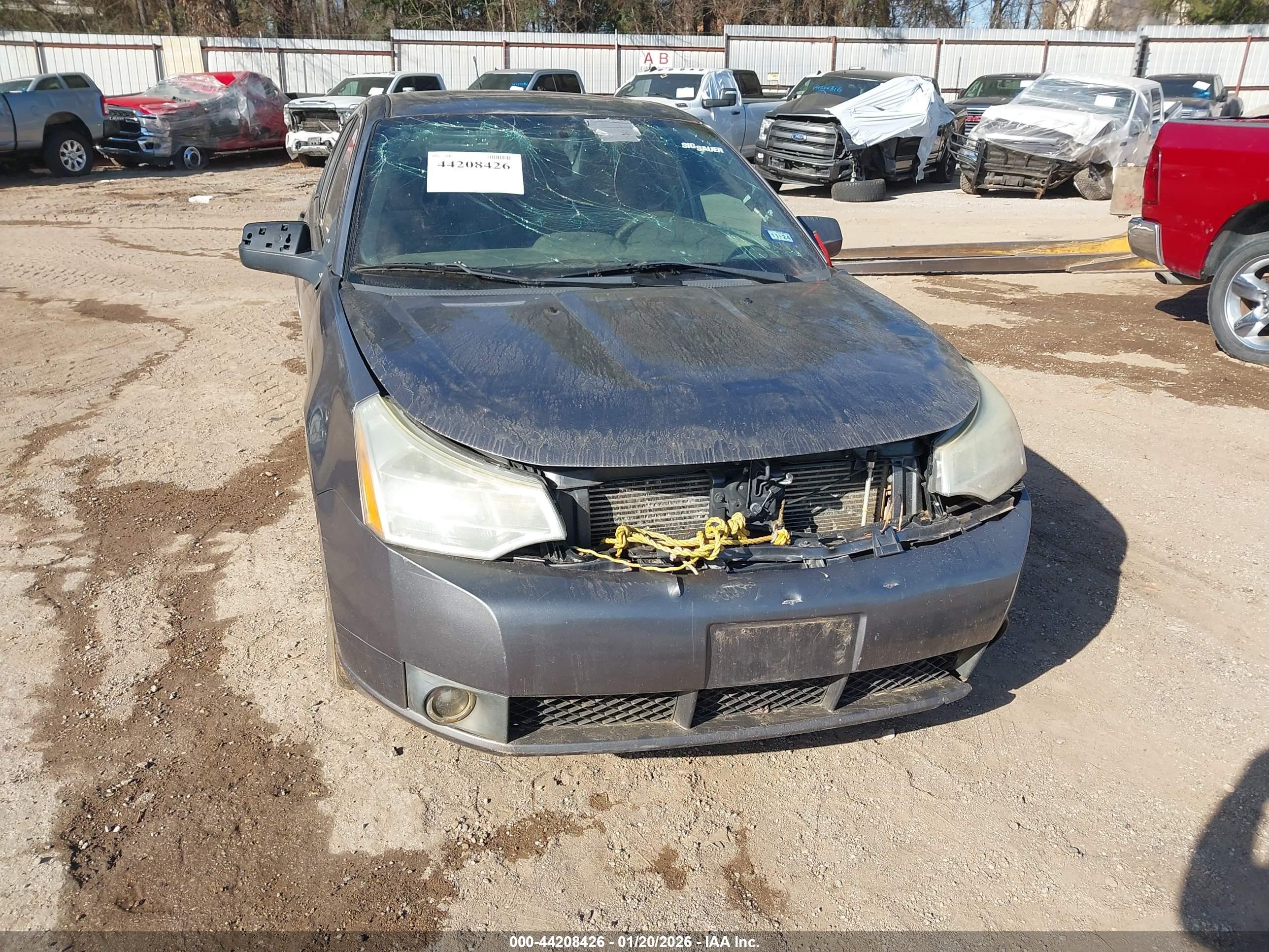 FORD FOCUS image 6