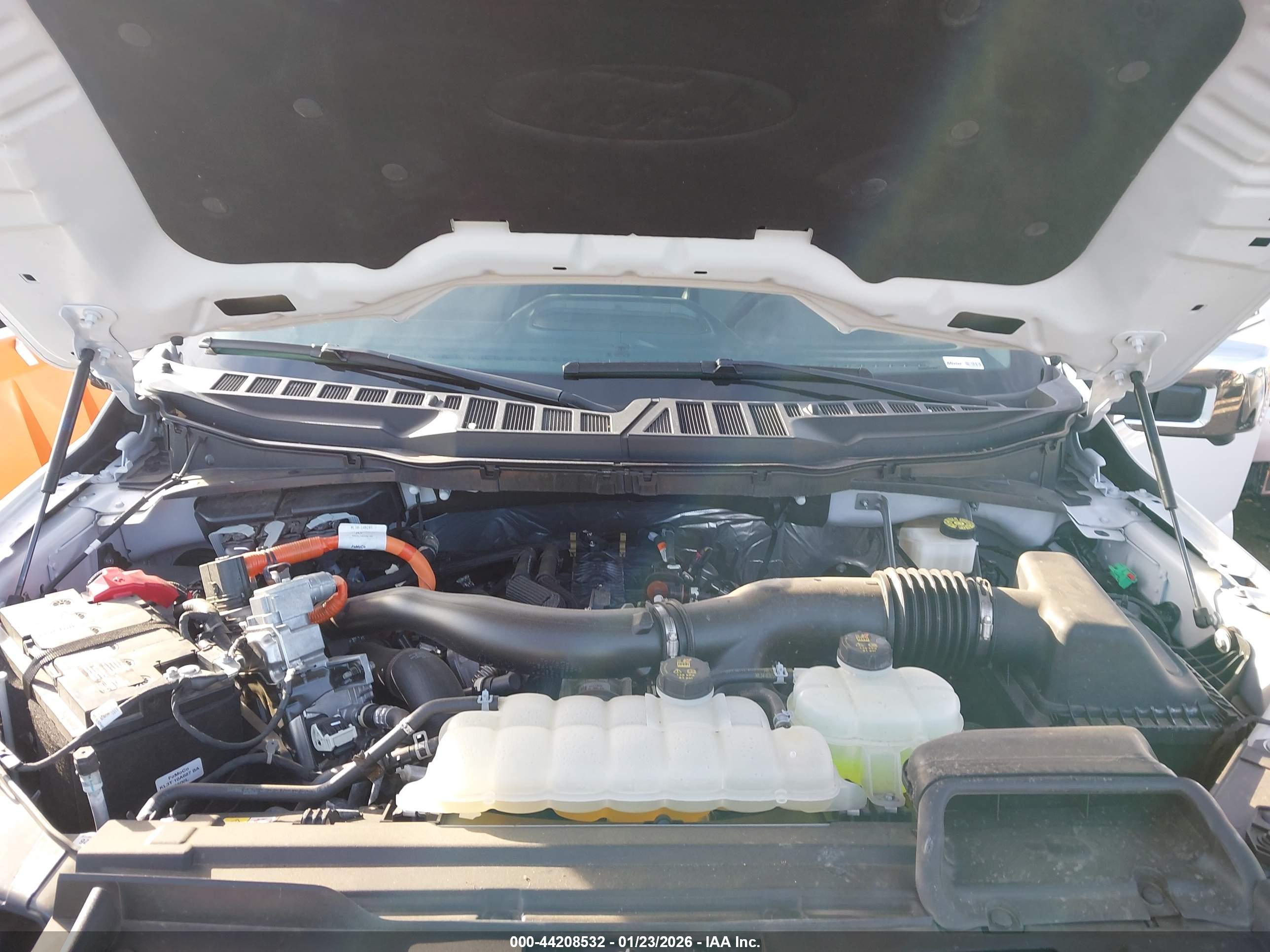 FORD F-150 image 10