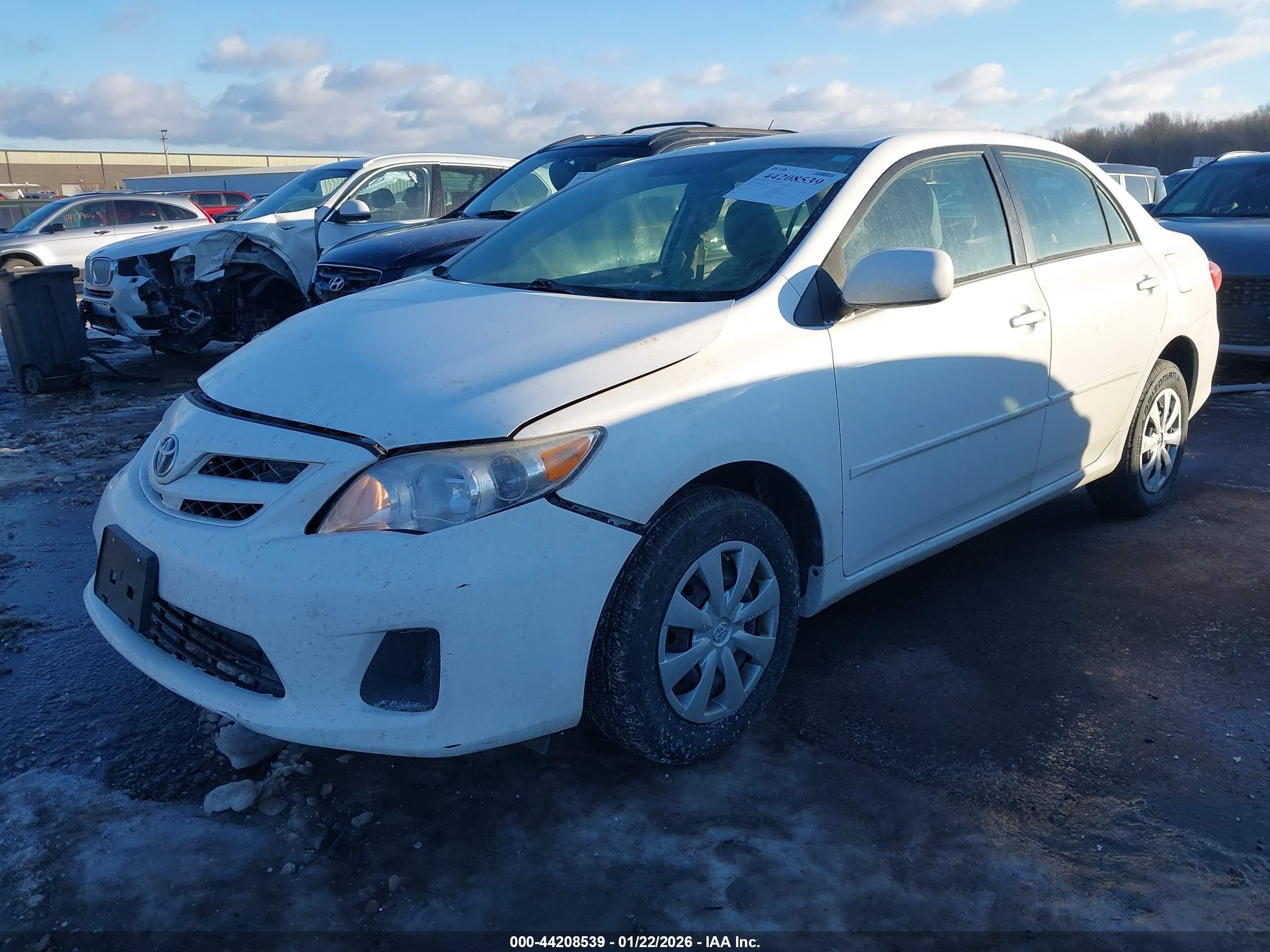 TOYOTA COROLLA image 2