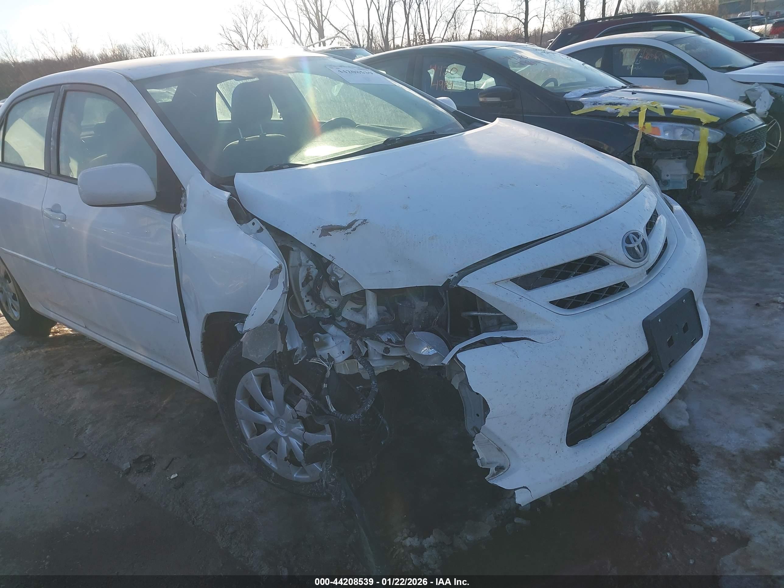 TOYOTA COROLLA image 6