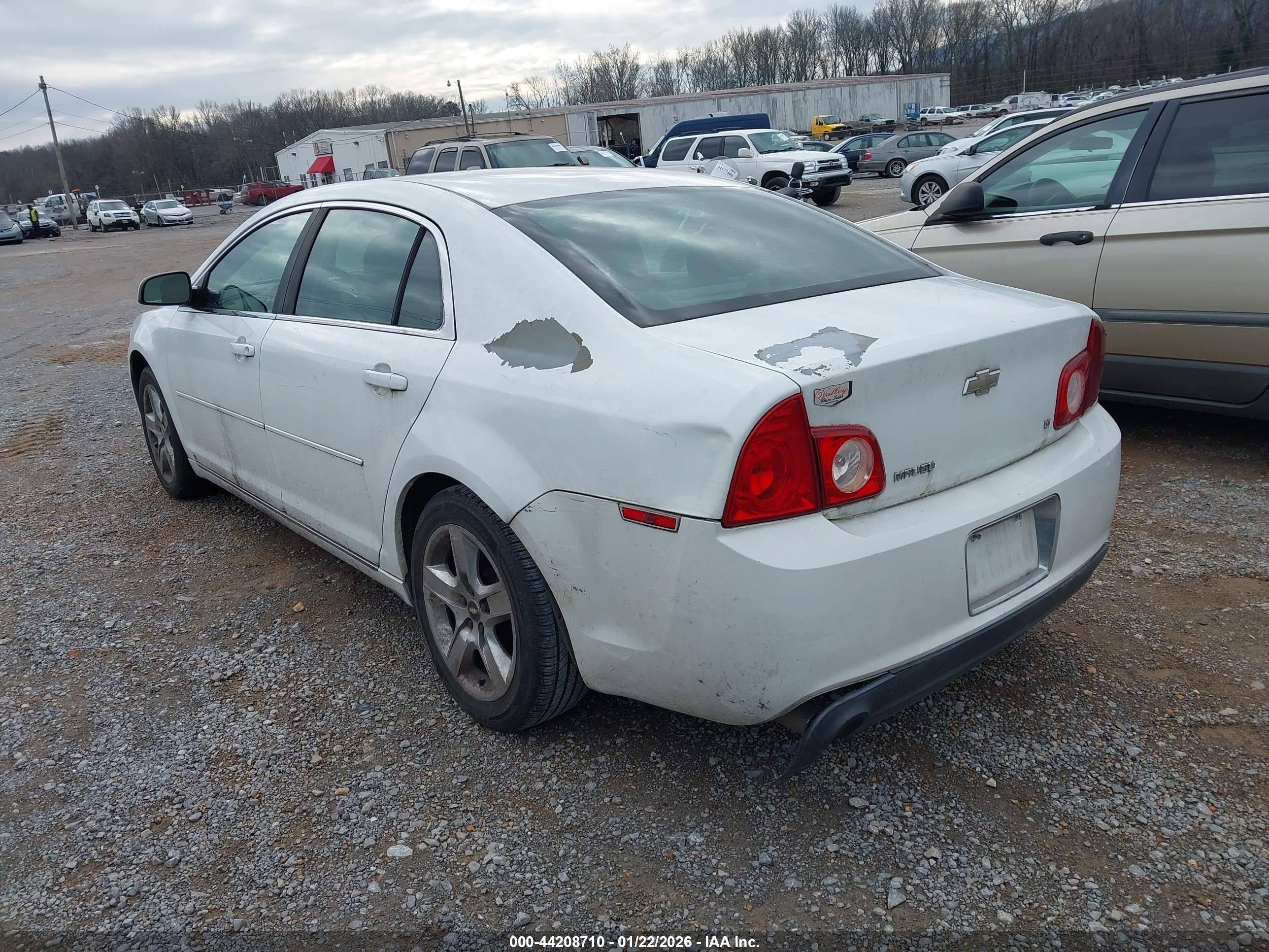 CHEVROLET MALIBU image 3
