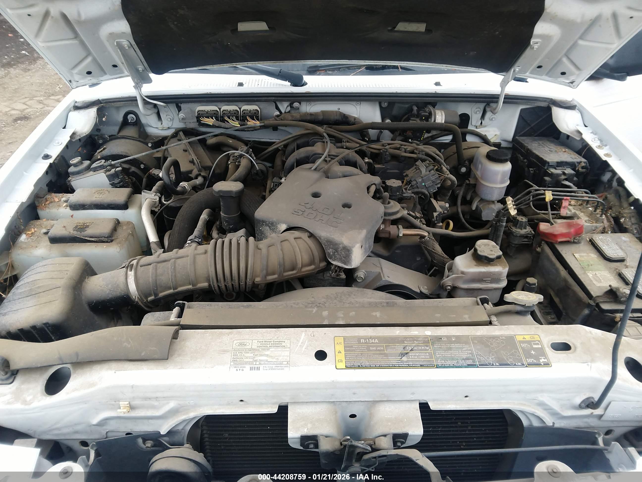 FORD RANGER image 10