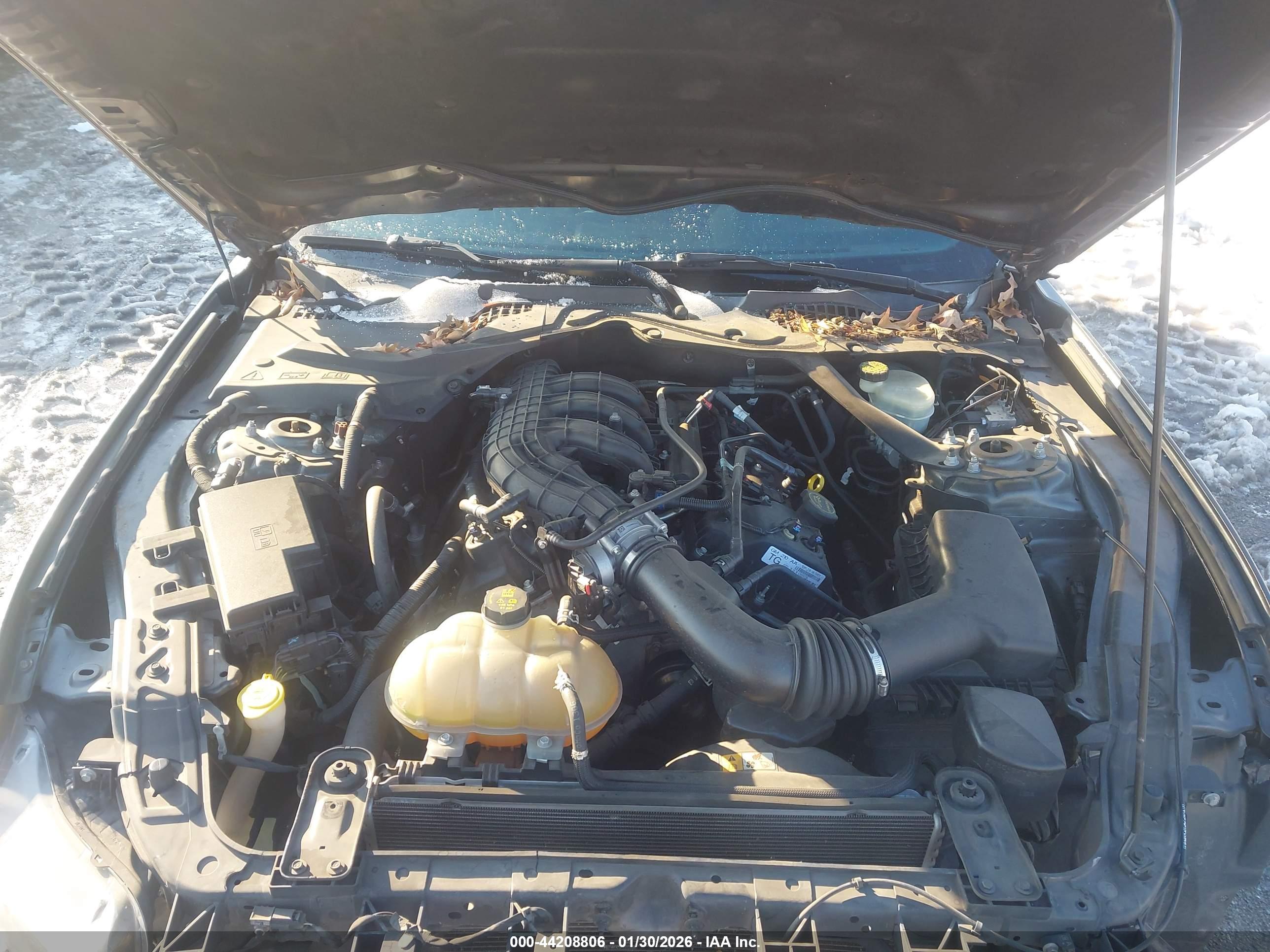 FORD MUSTANG image 10