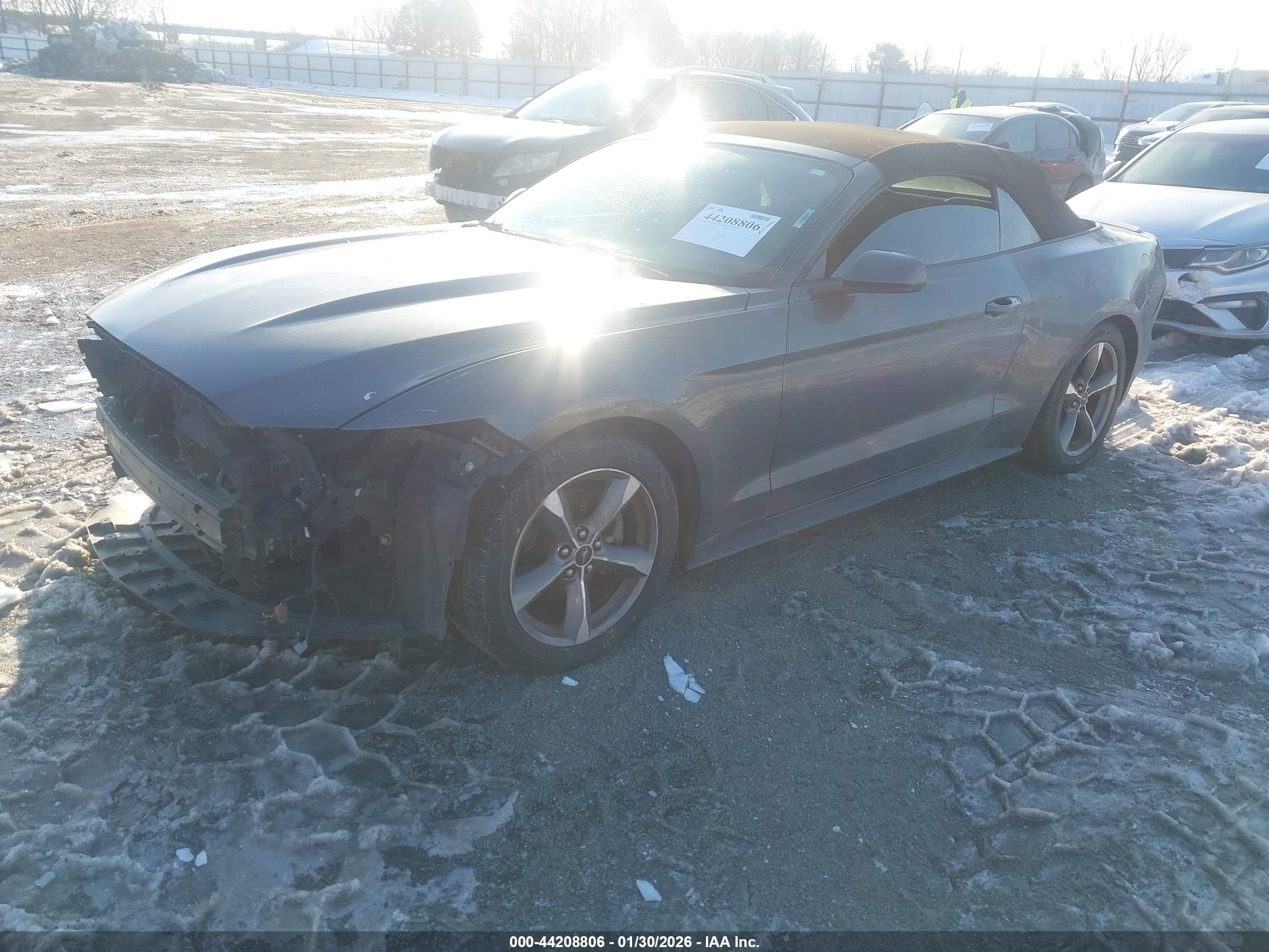 FORD MUSTANG image 2
