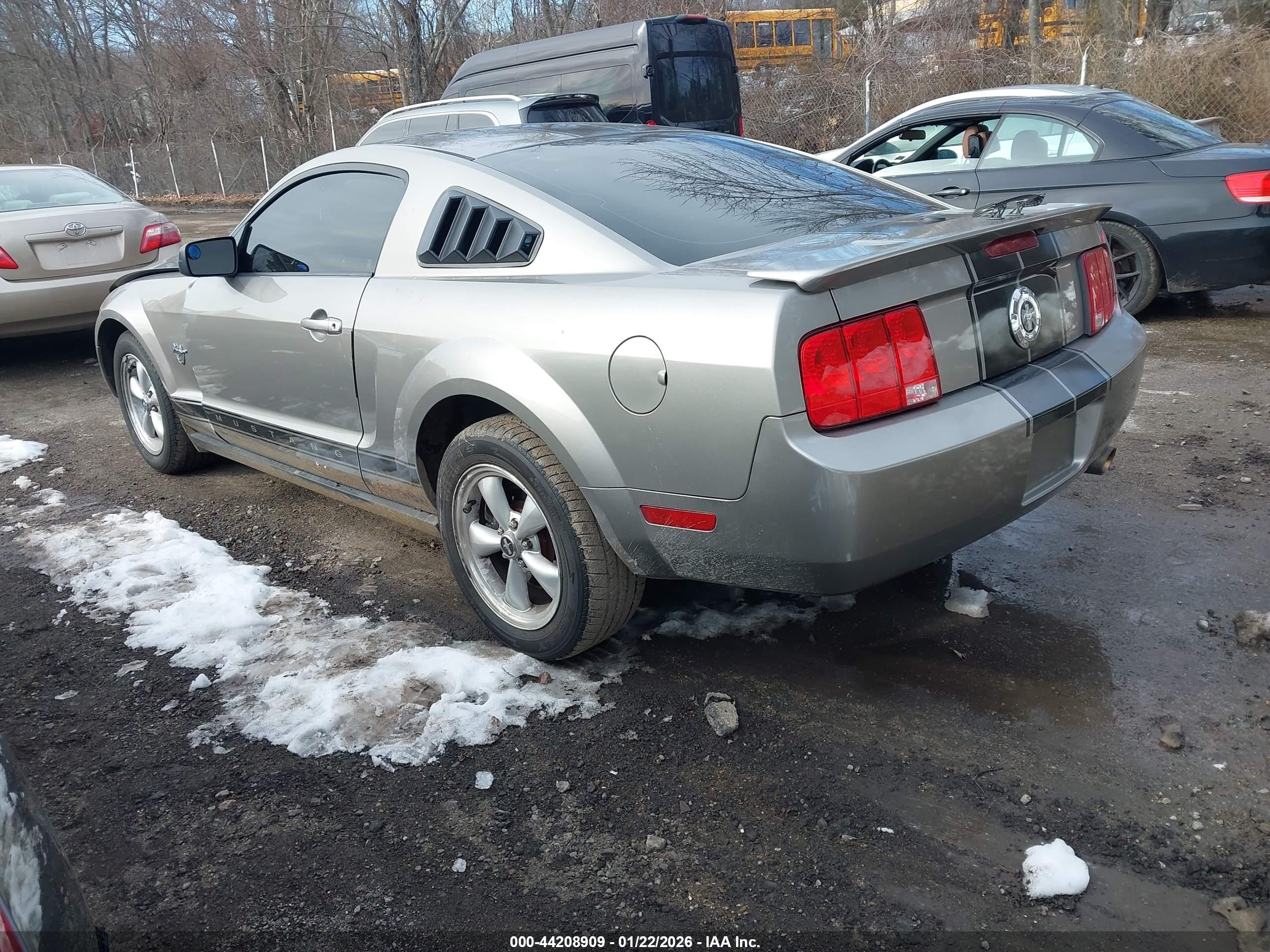 FORD MUSTANG image 3