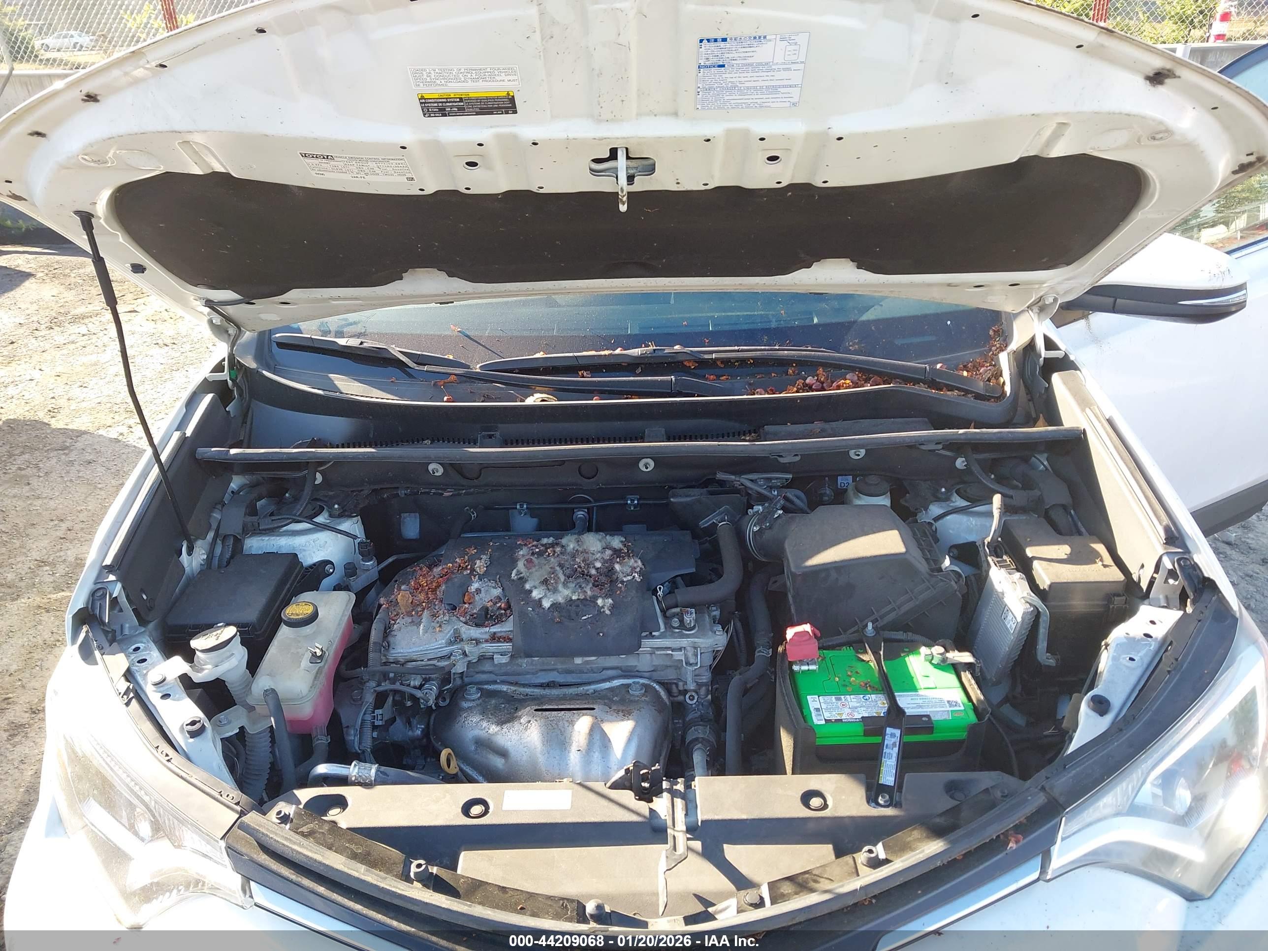 TOYOTA RAV4 image 10