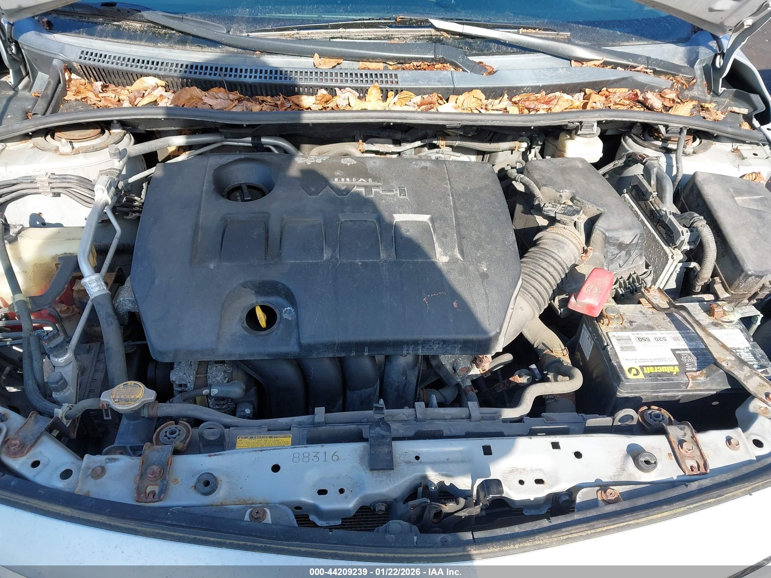 TOYOTA COROLLA image 10