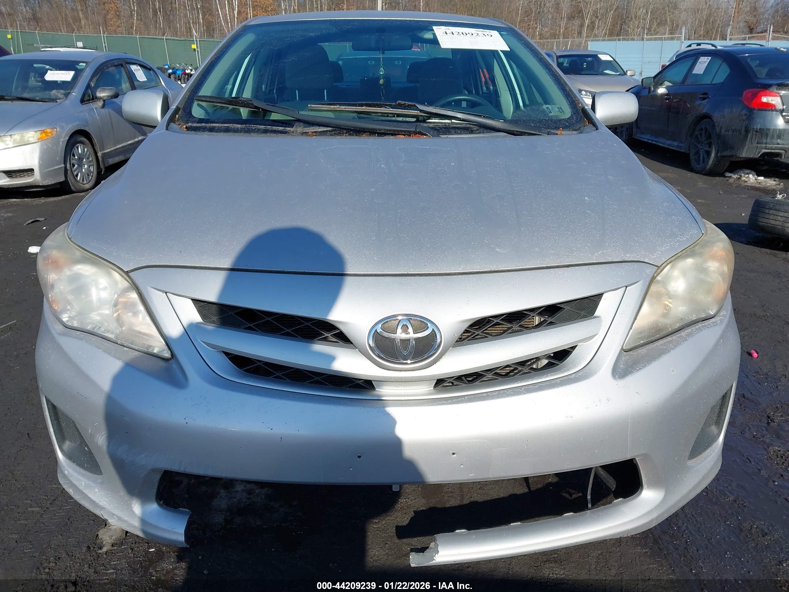TOYOTA COROLLA image 6