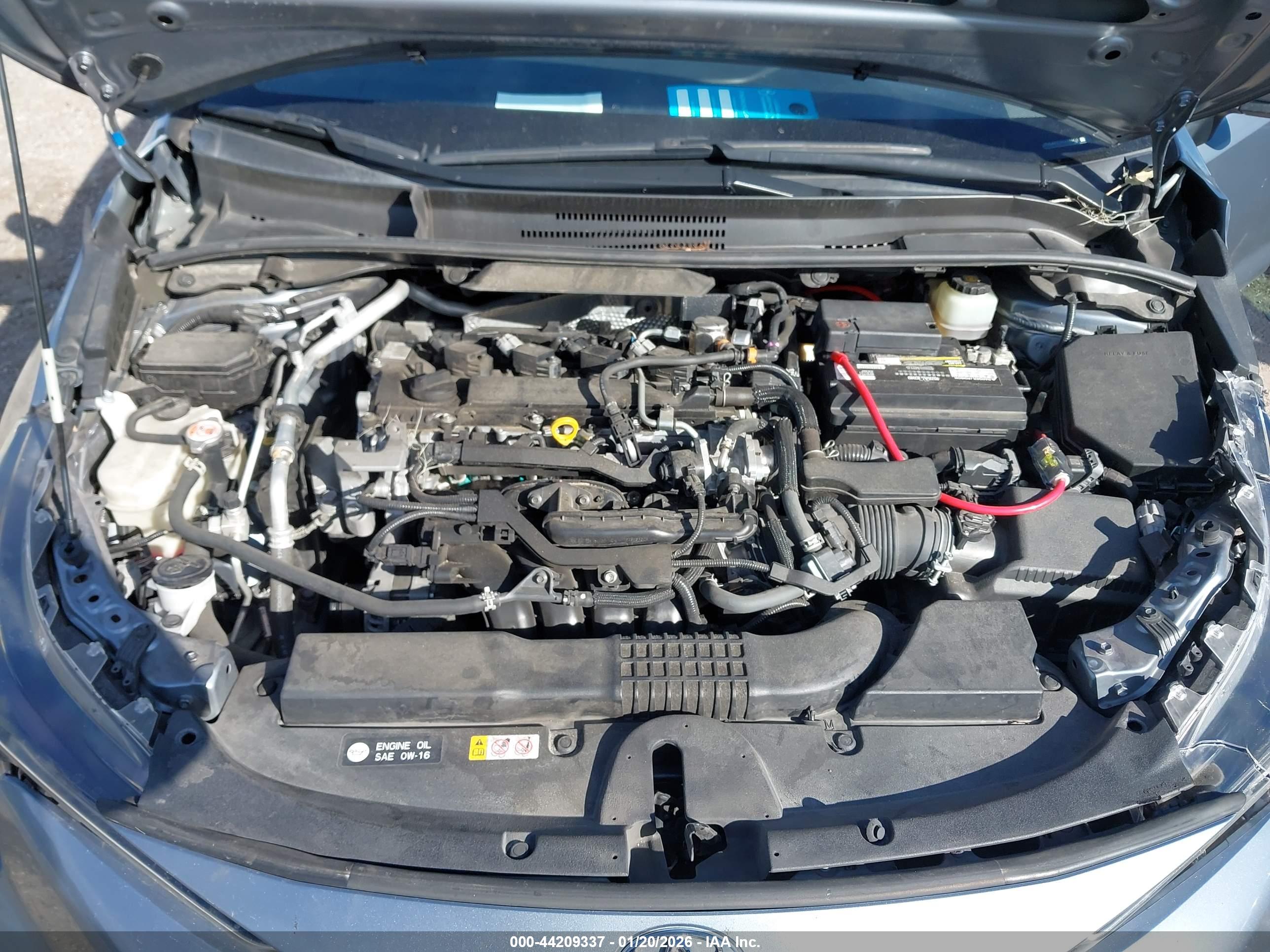 TOYOTA COROLLA image 10
