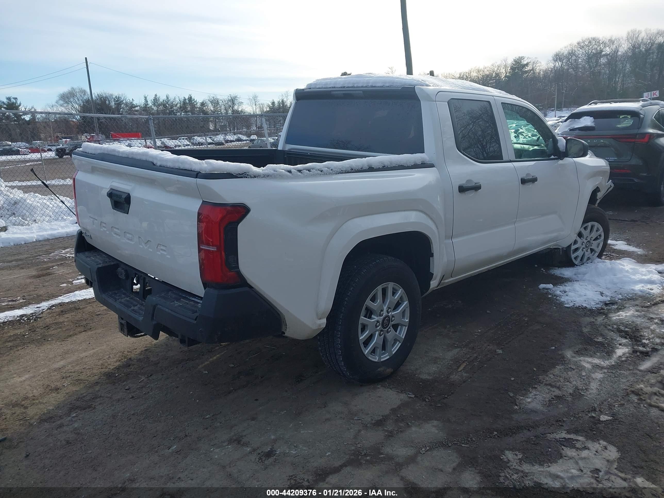 TOYOTA TACOMA image 4