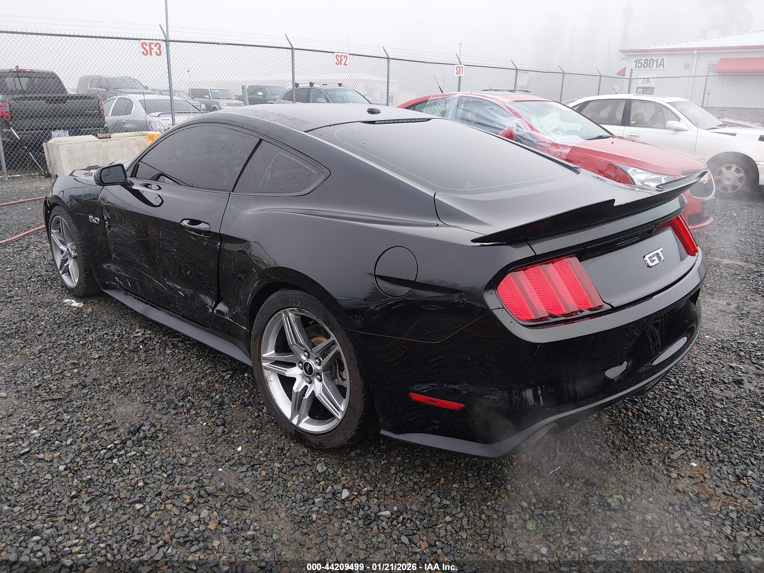 FORD MUSTANG image 3