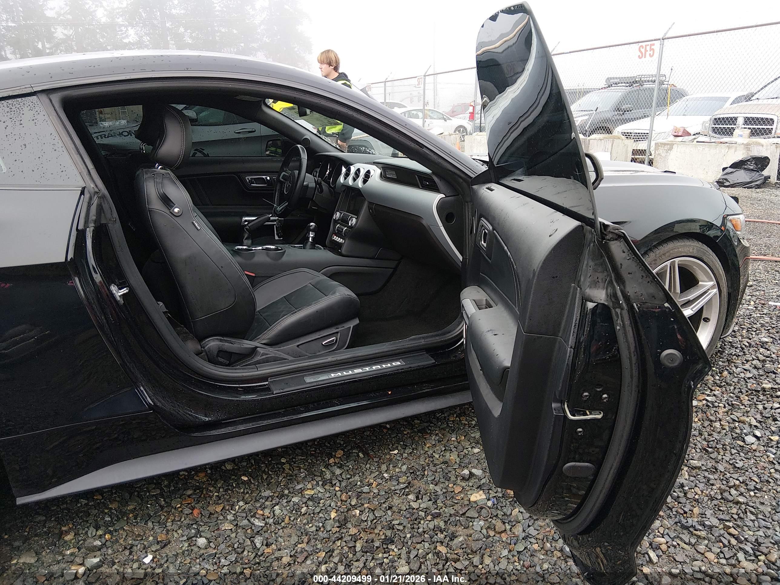 FORD MUSTANG image 5