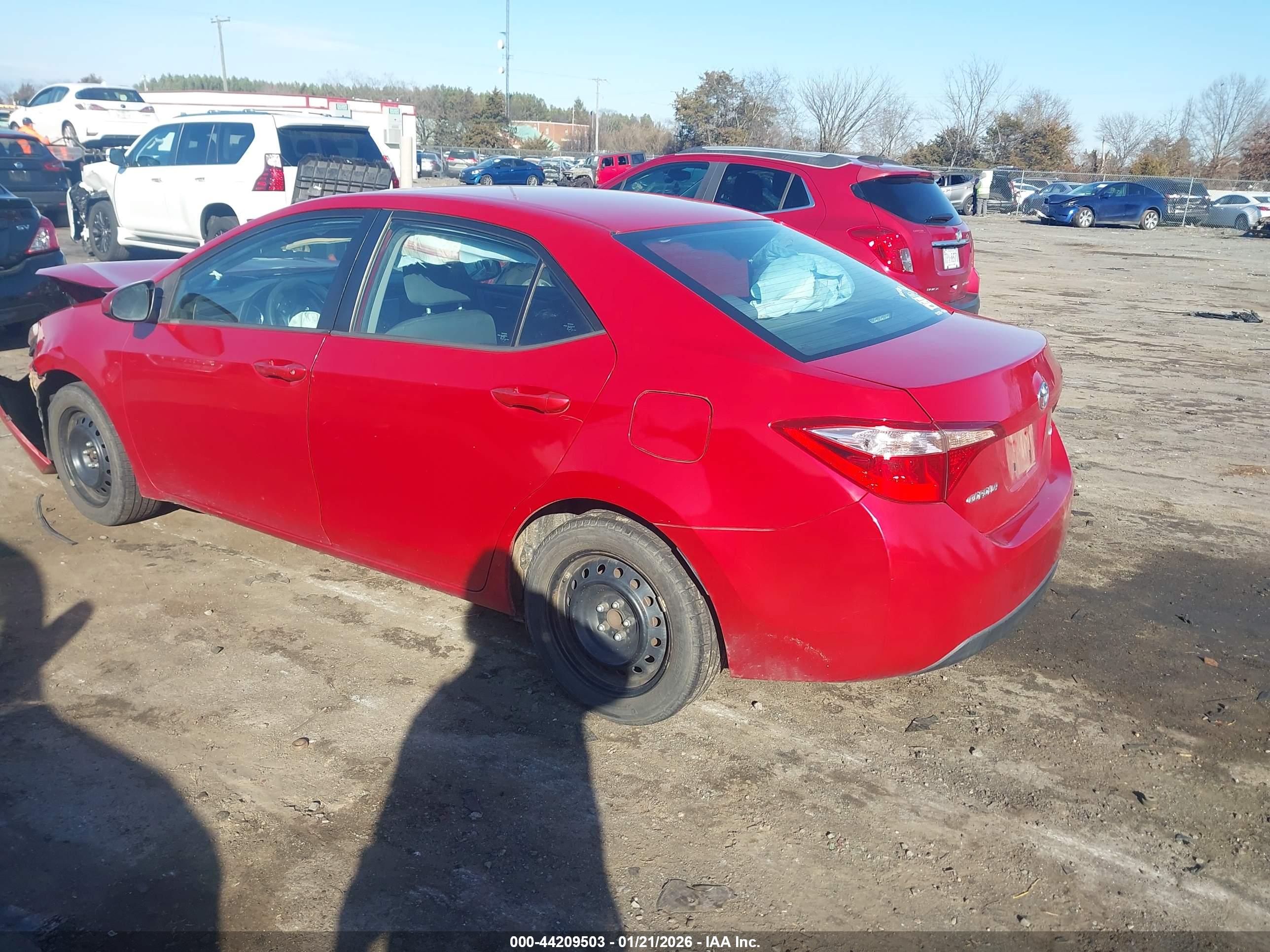 TOYOTA COROLLA image 3