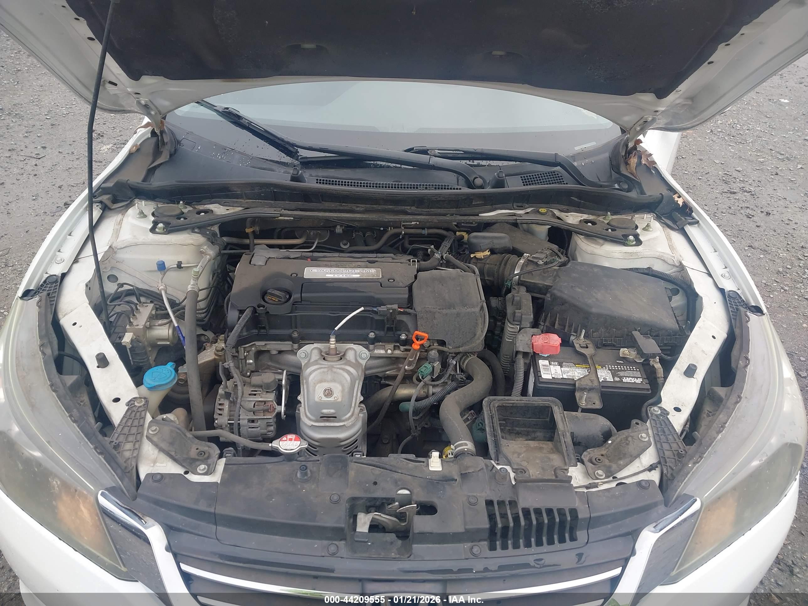 HONDA ACCORD image 10