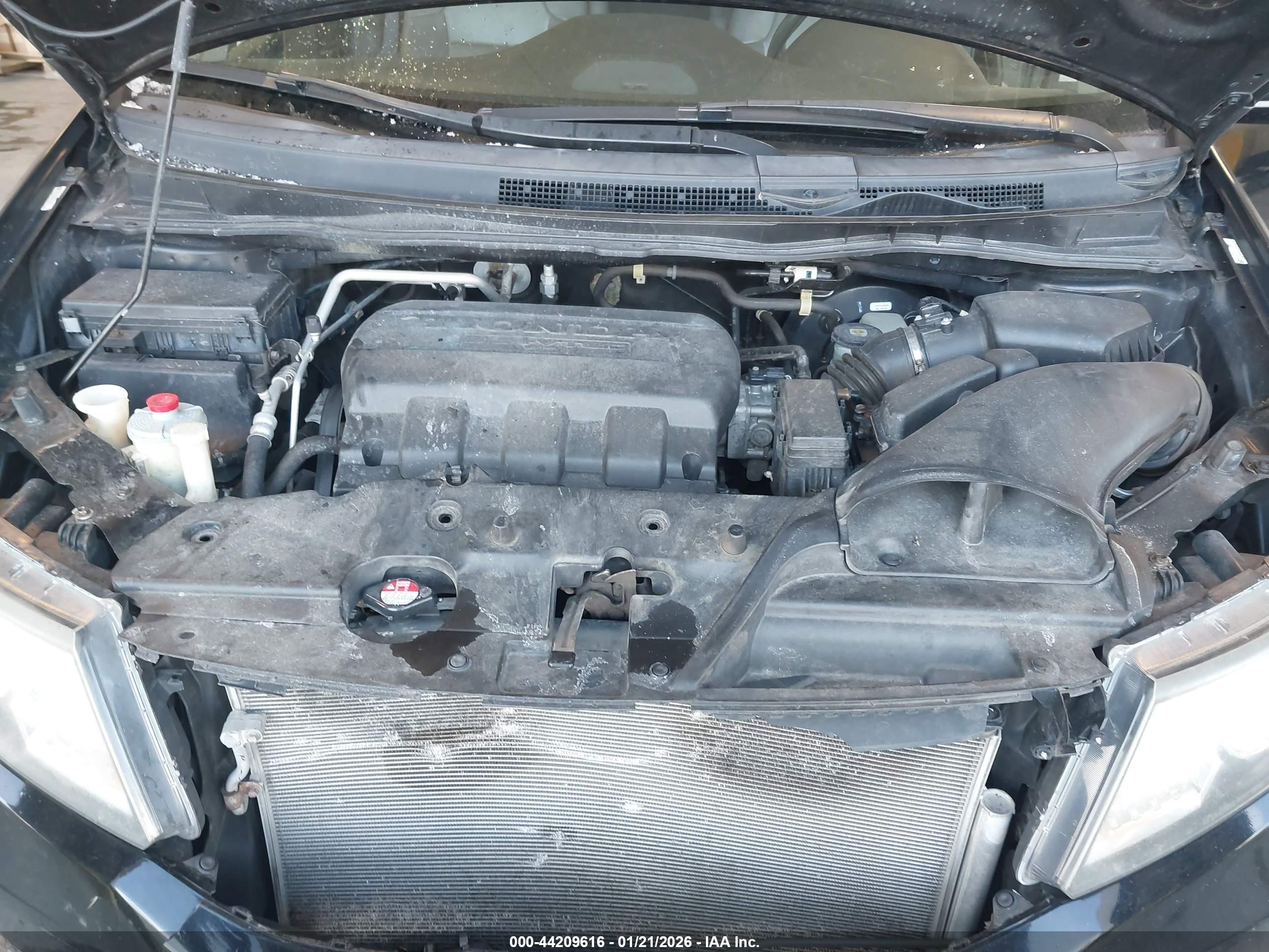 HONDA ODYSSEY image 10