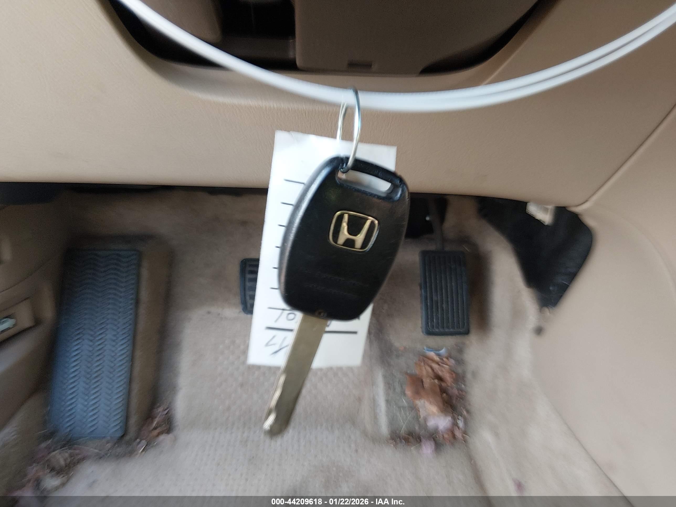 HONDA ACCORD image 11