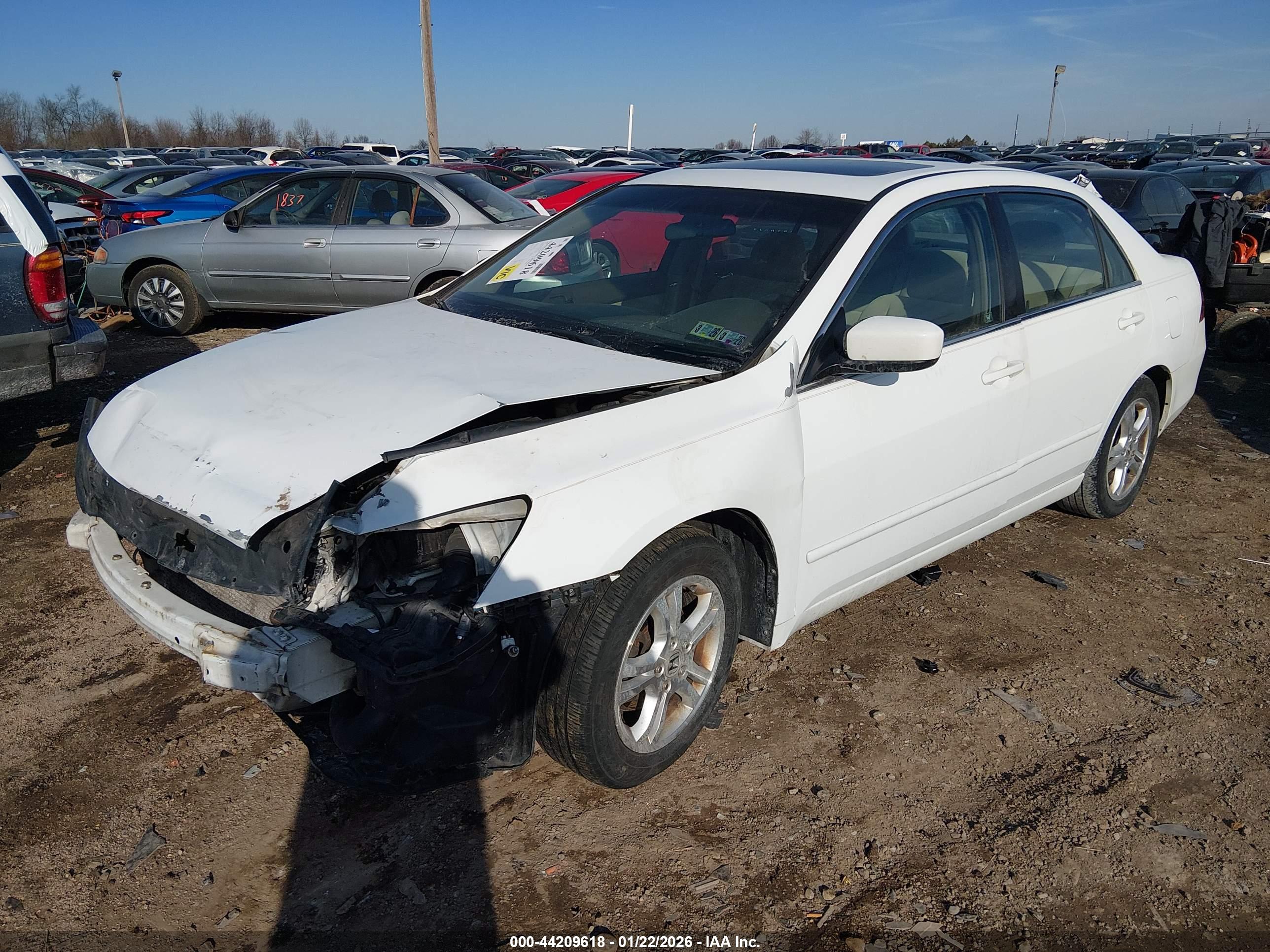 HONDA ACCORD image 2