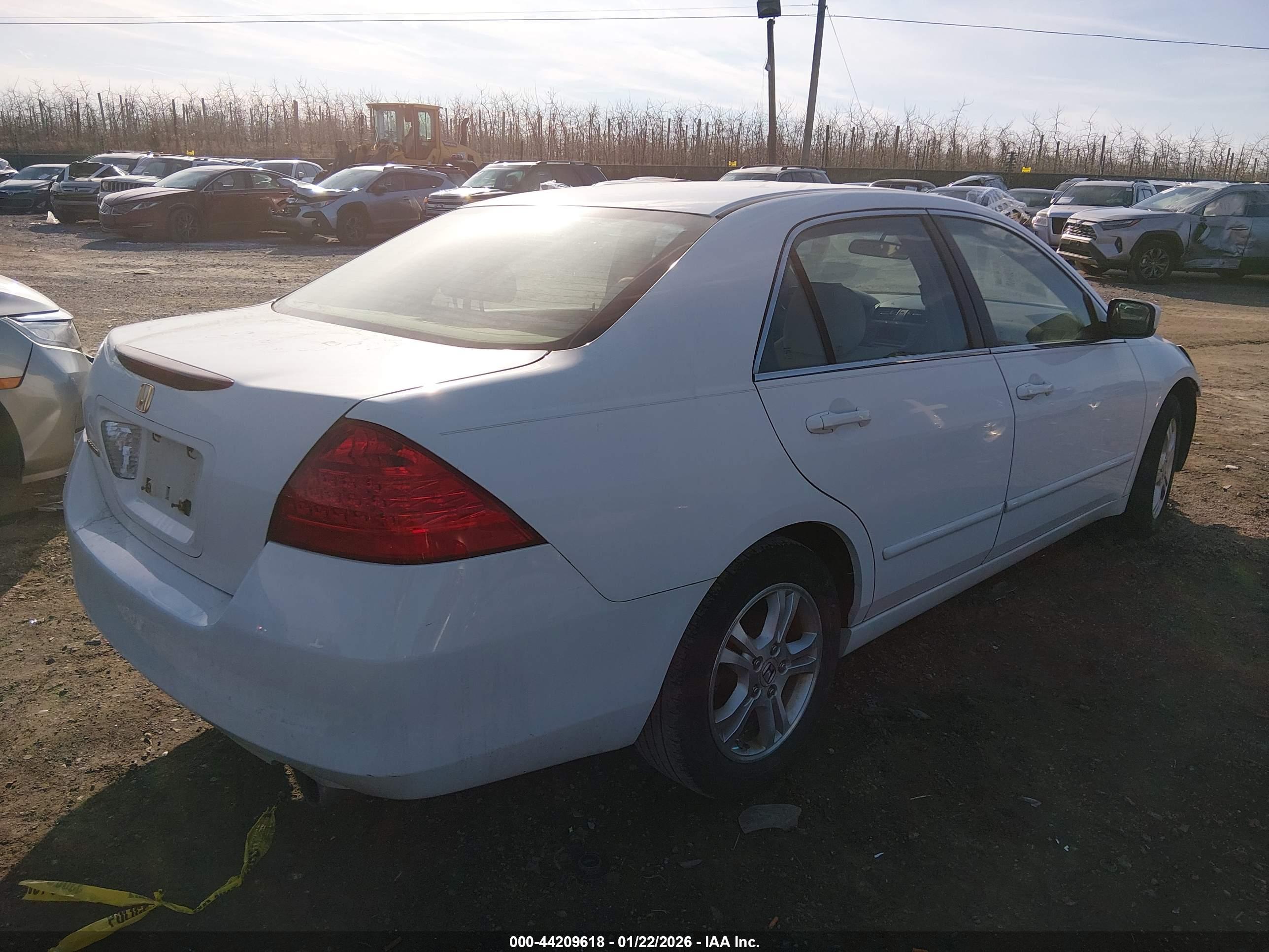 HONDA ACCORD image 4