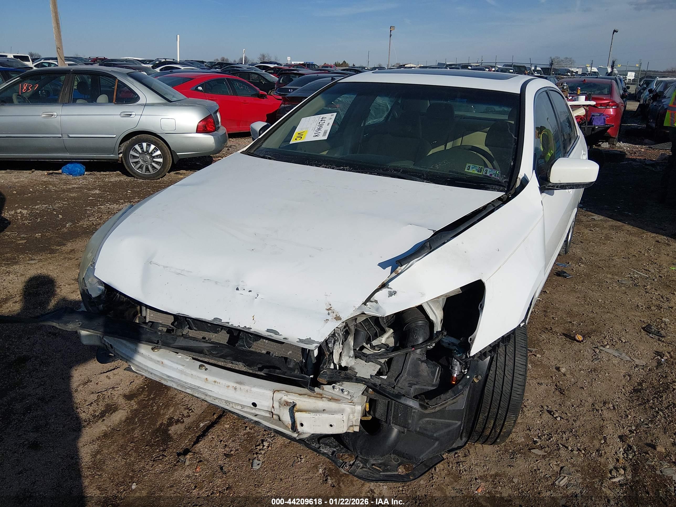 HONDA ACCORD image 6