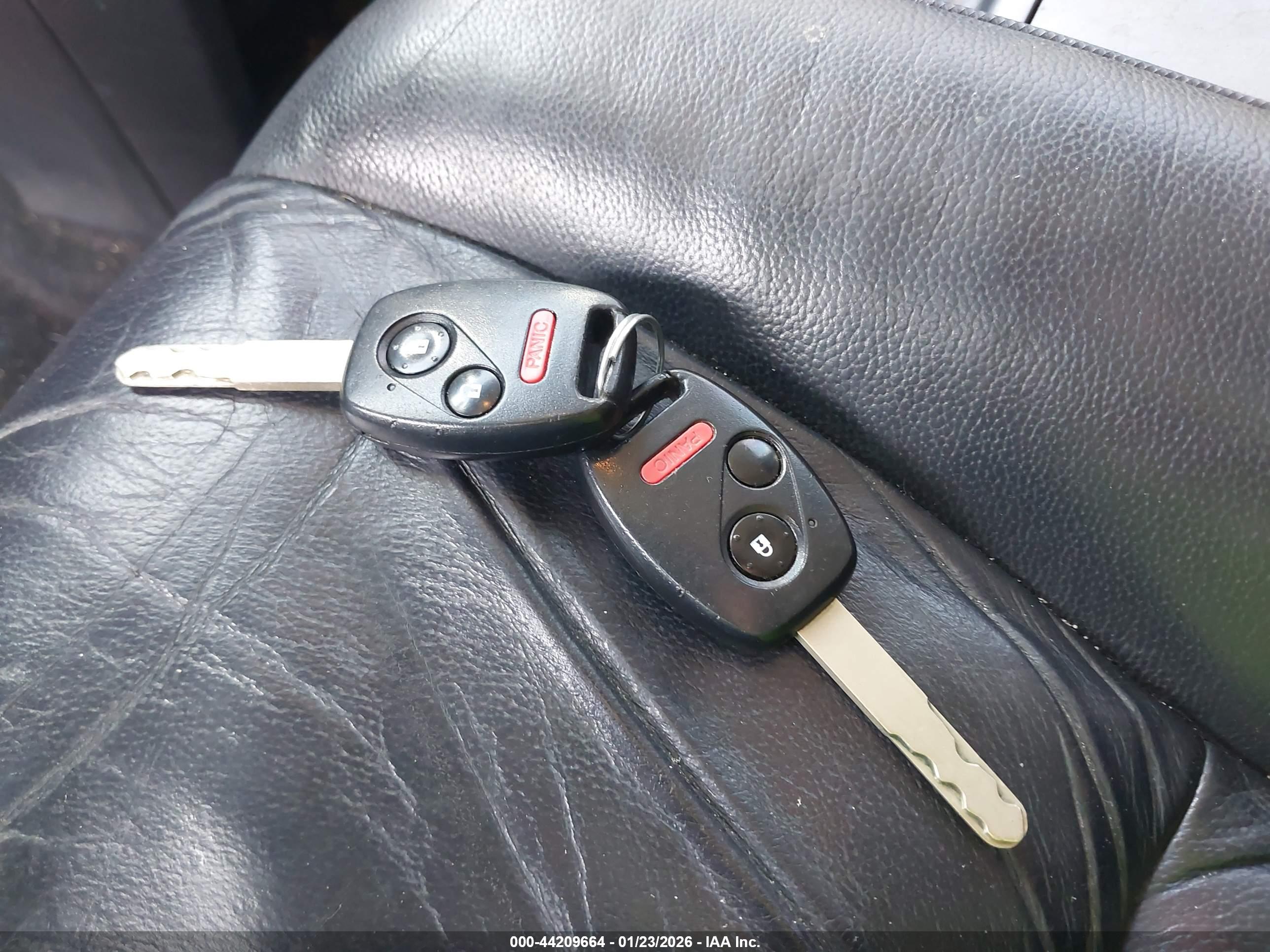 HONDA CR-V image 11