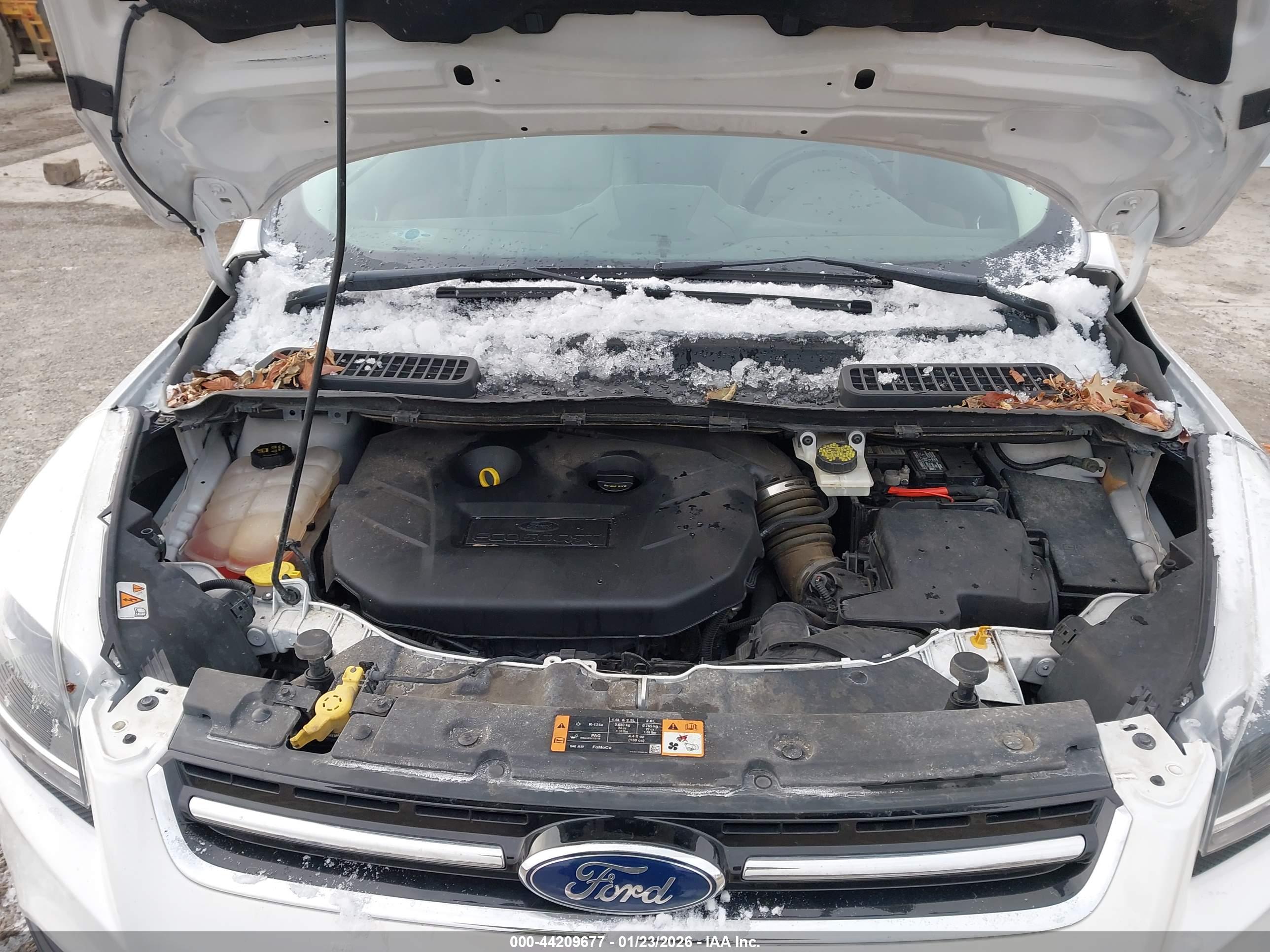 FORD ESCAPE image 10