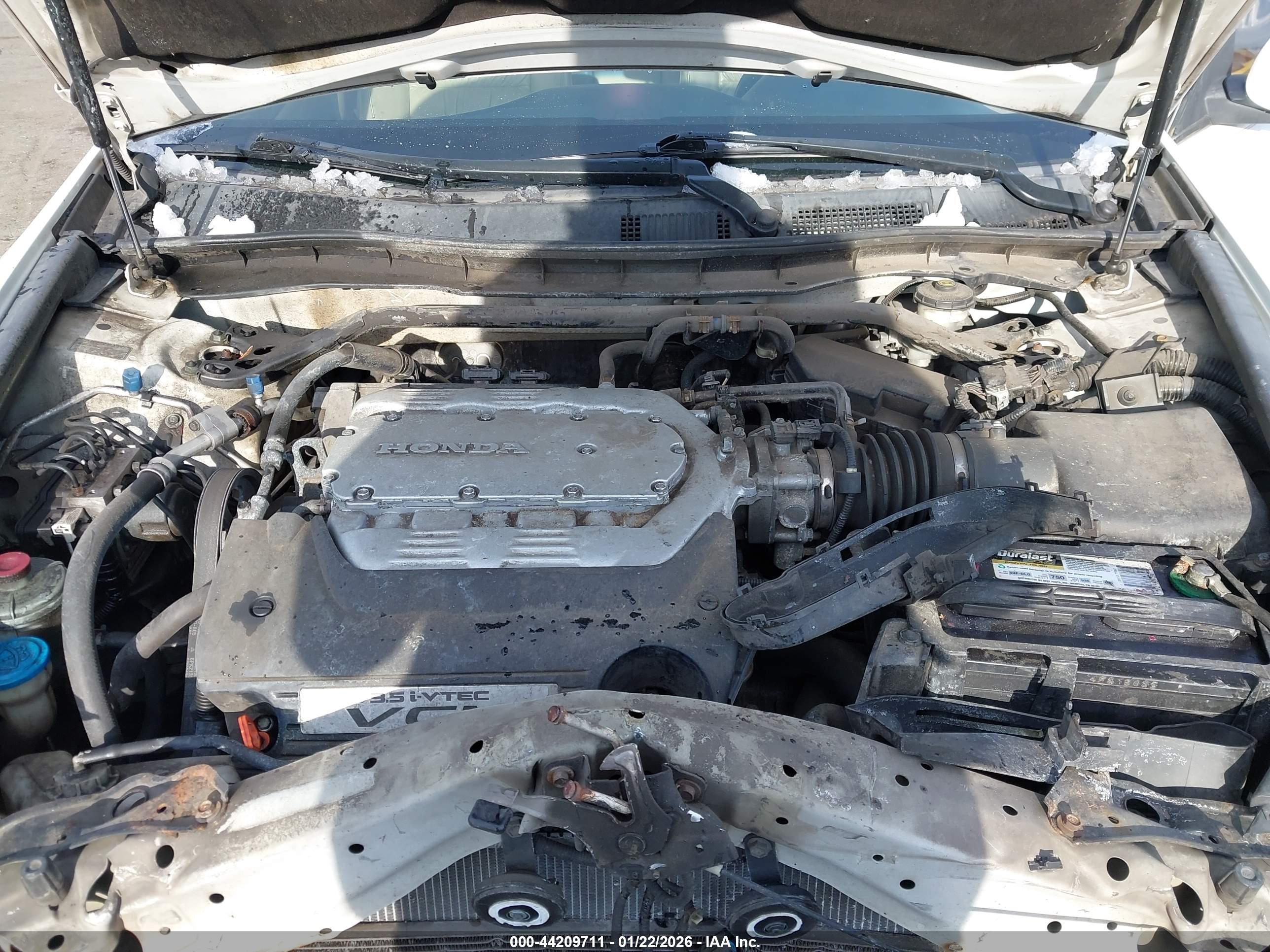 HONDA ACCORD image 10