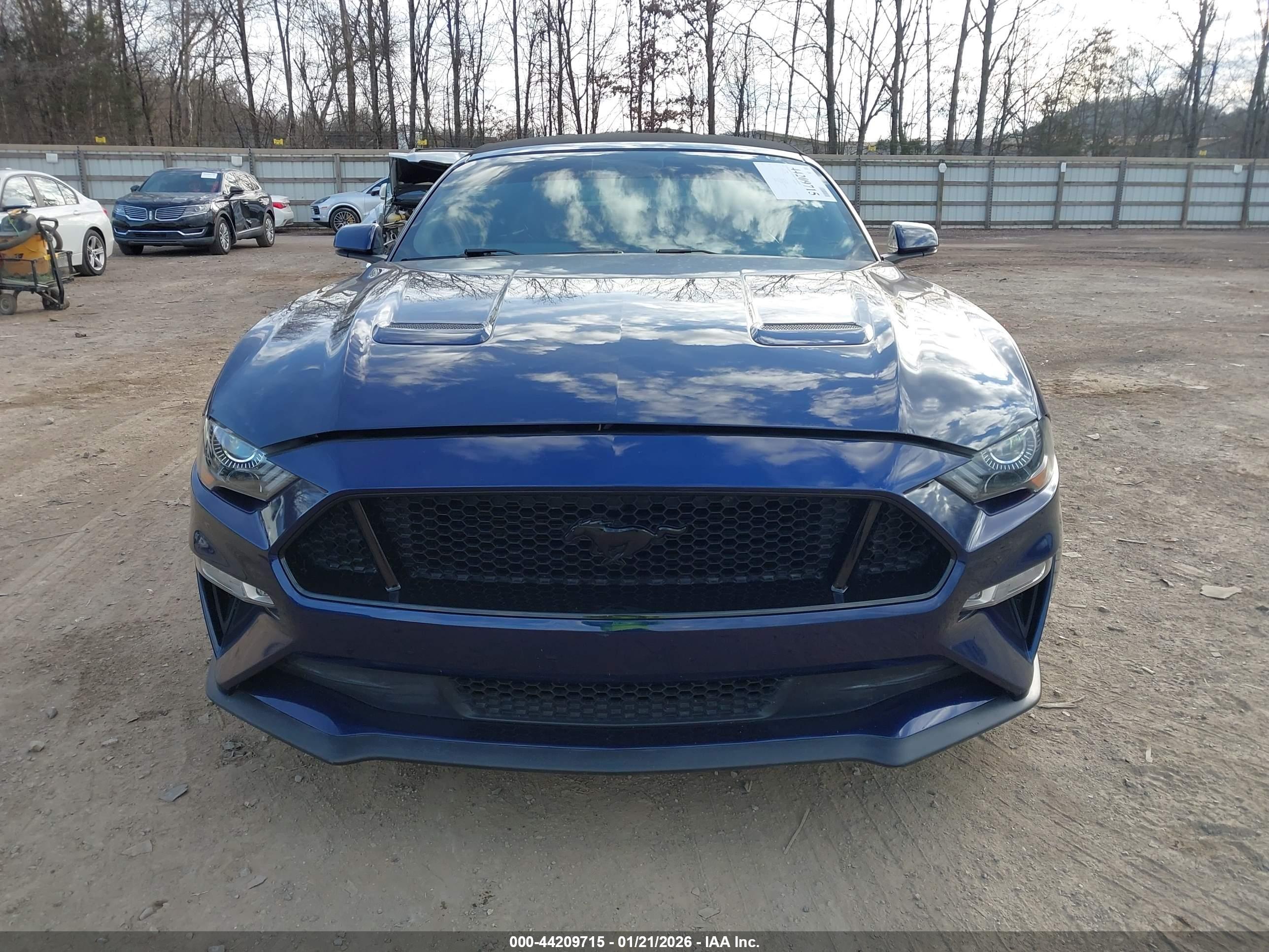 FORD MUSTANG image 6
