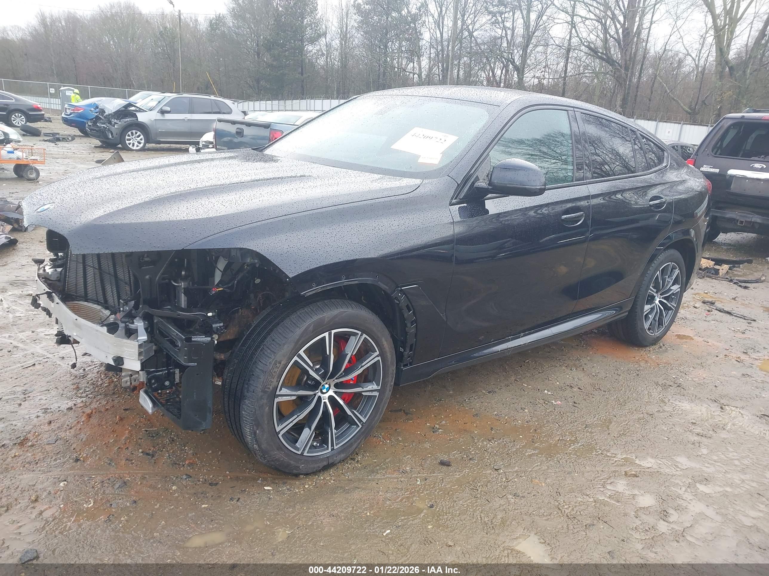 BMW X6 image 2