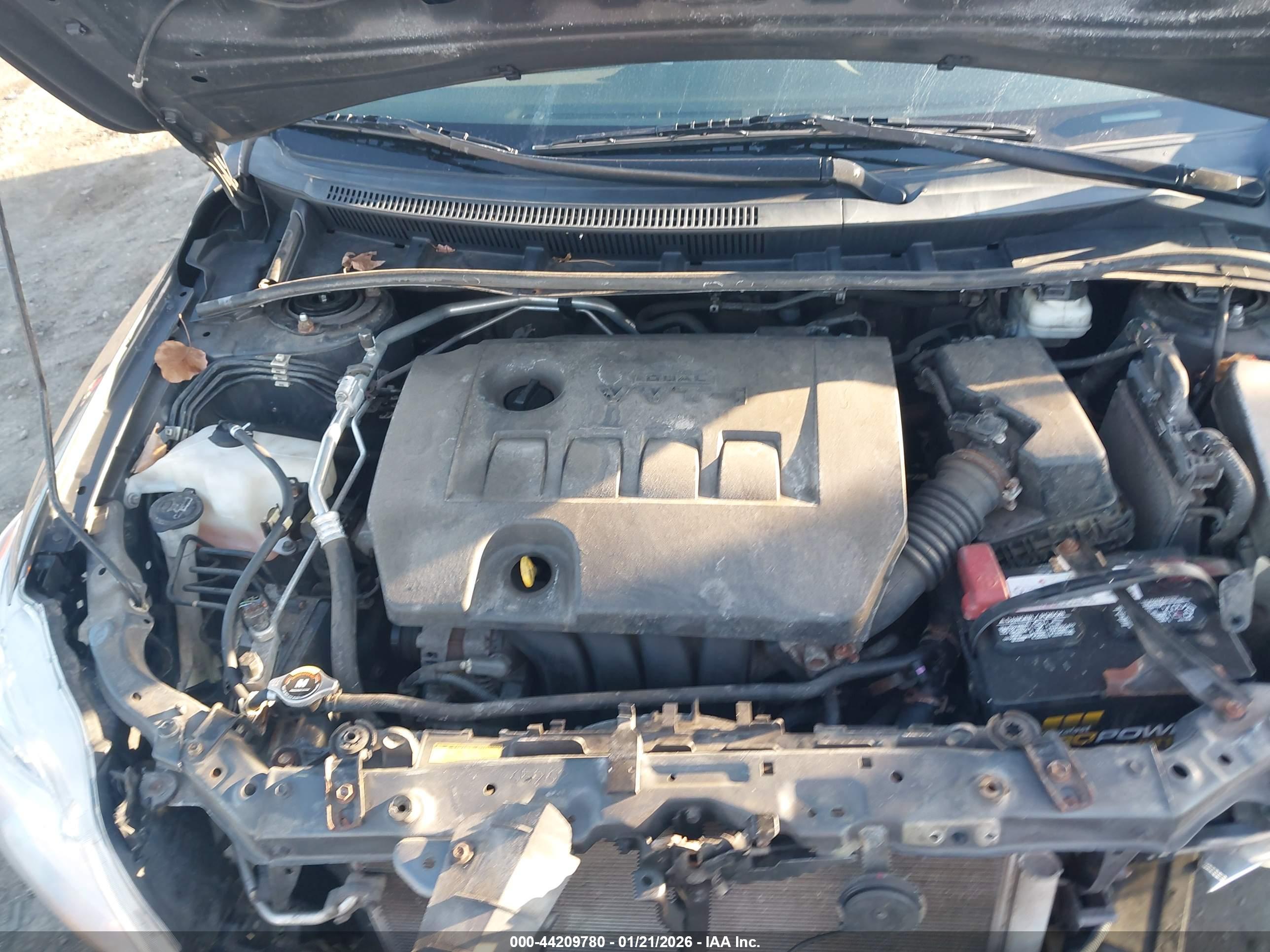 TOYOTA COROLLA image 10