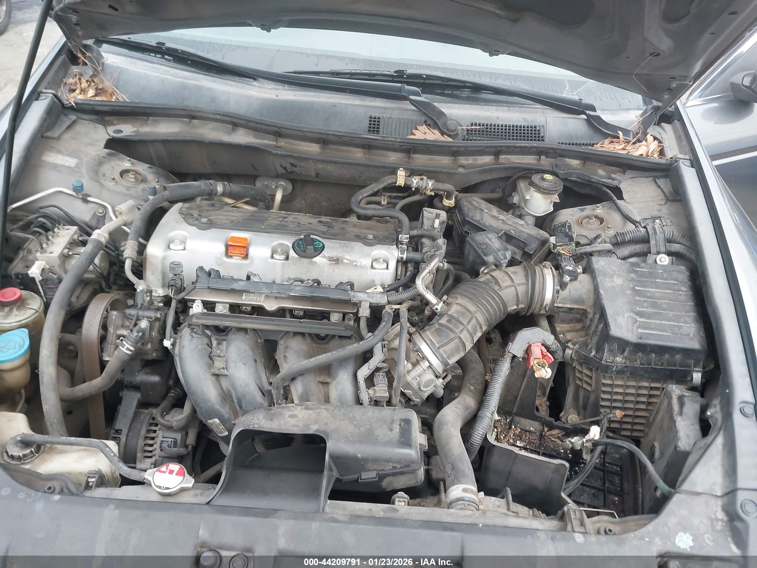 HONDA ACCORD image 10