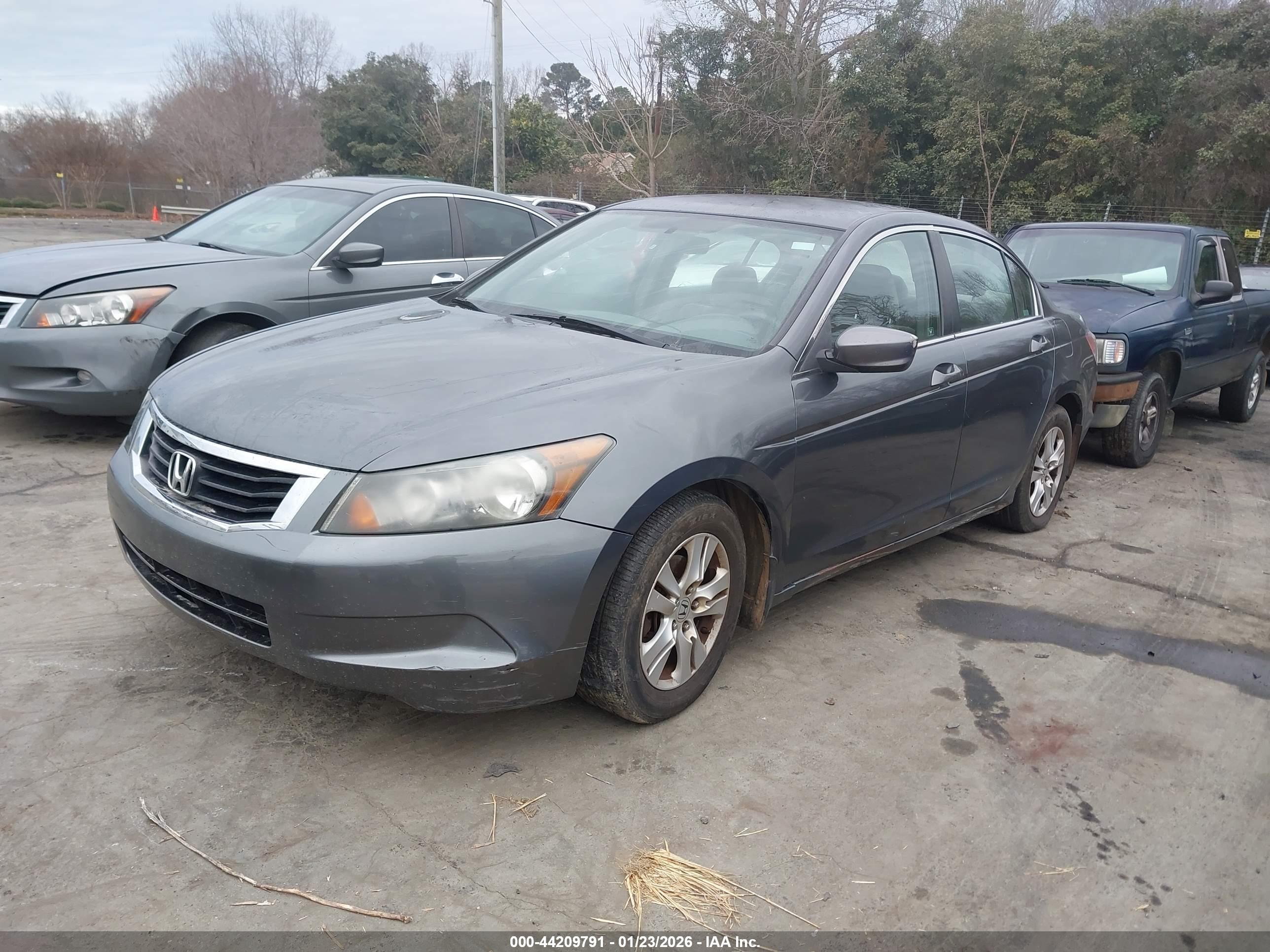 HONDA ACCORD image 2